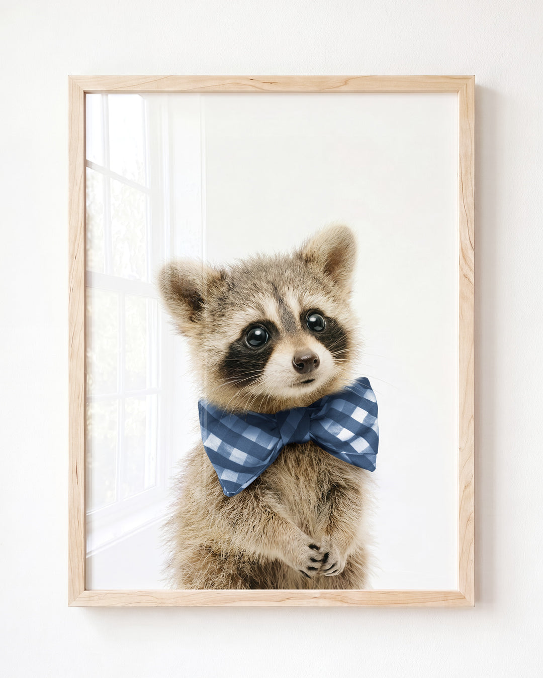 Baby Raccoon — Framed