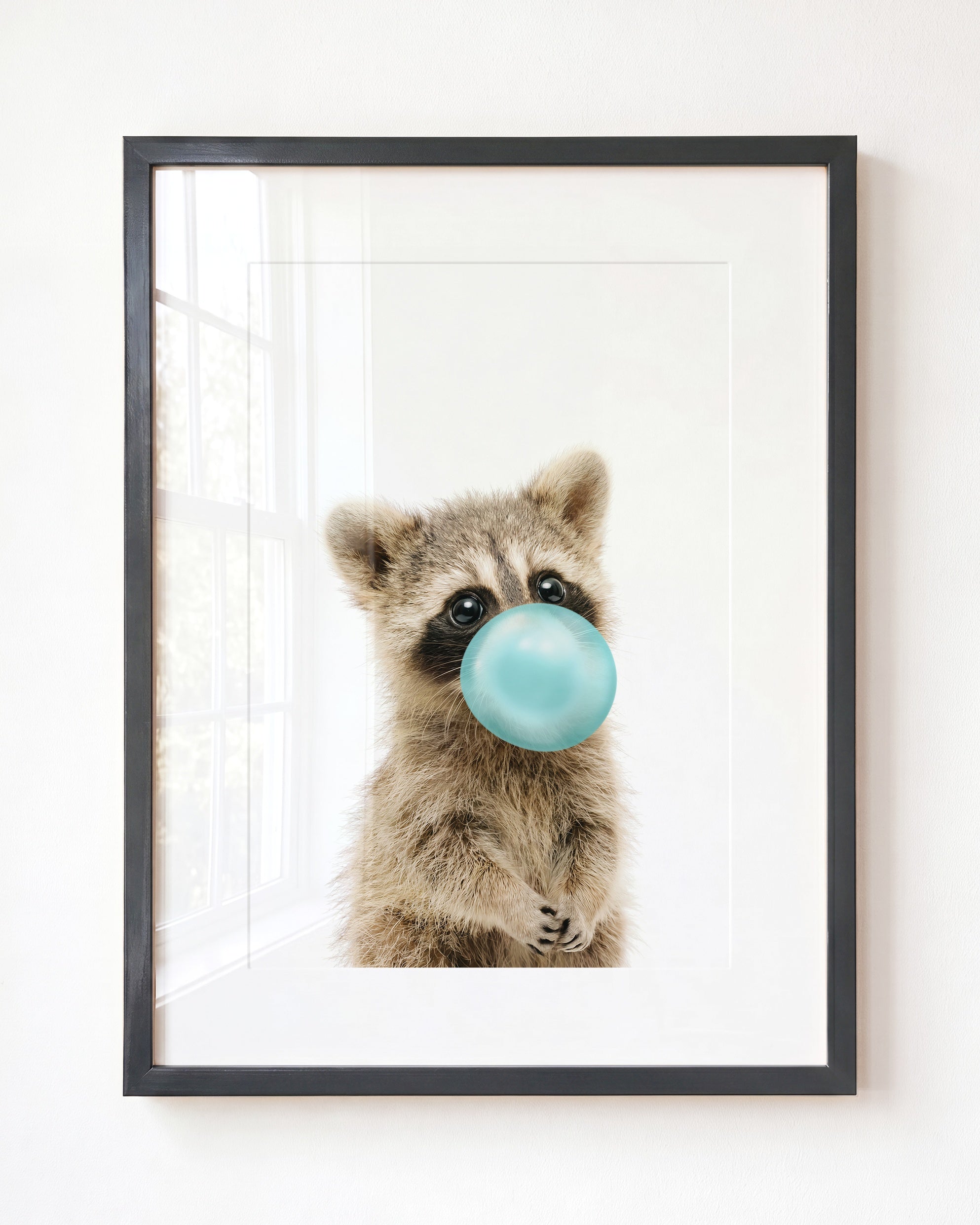 Baby Raccoon