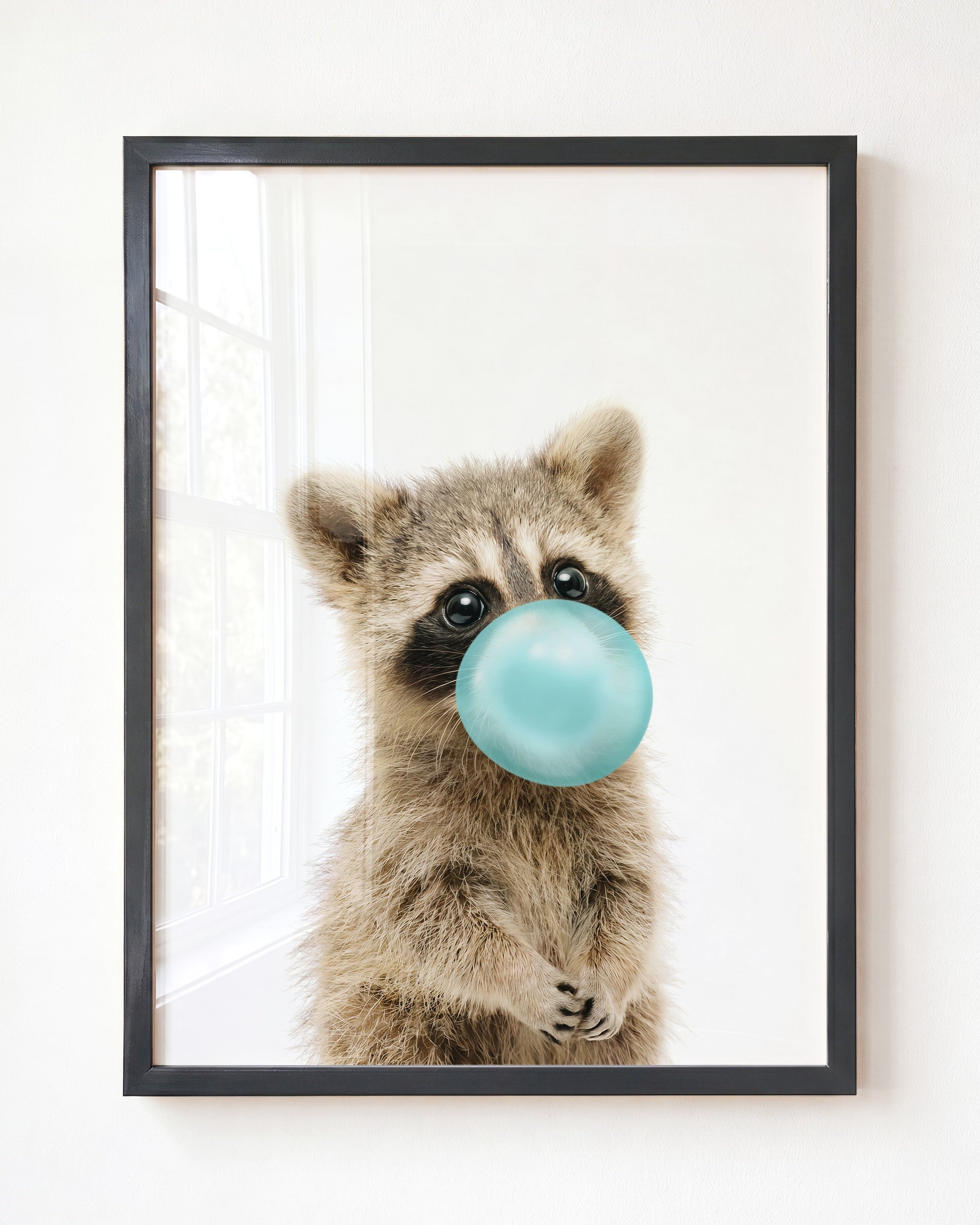 Baby Raccoon