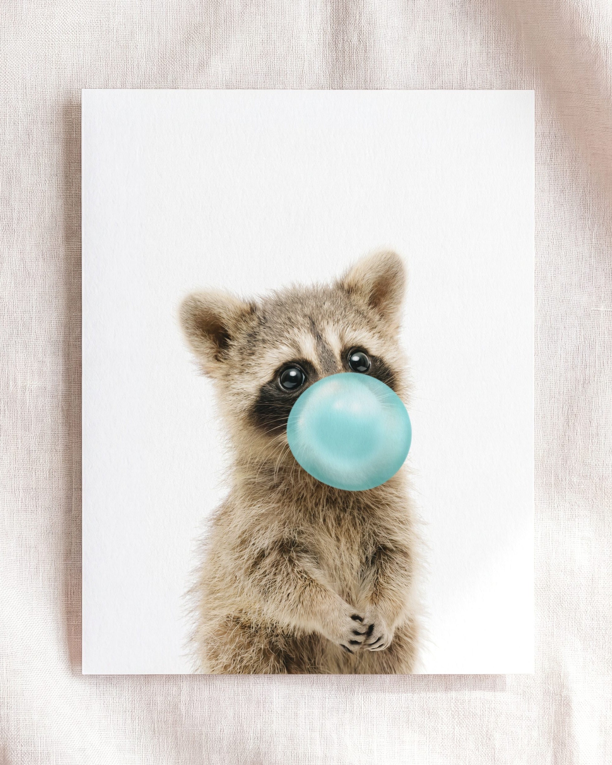 Baby Raccoon