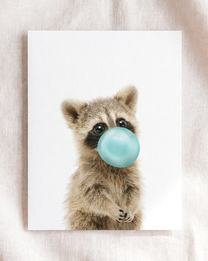 Baby Raccoon