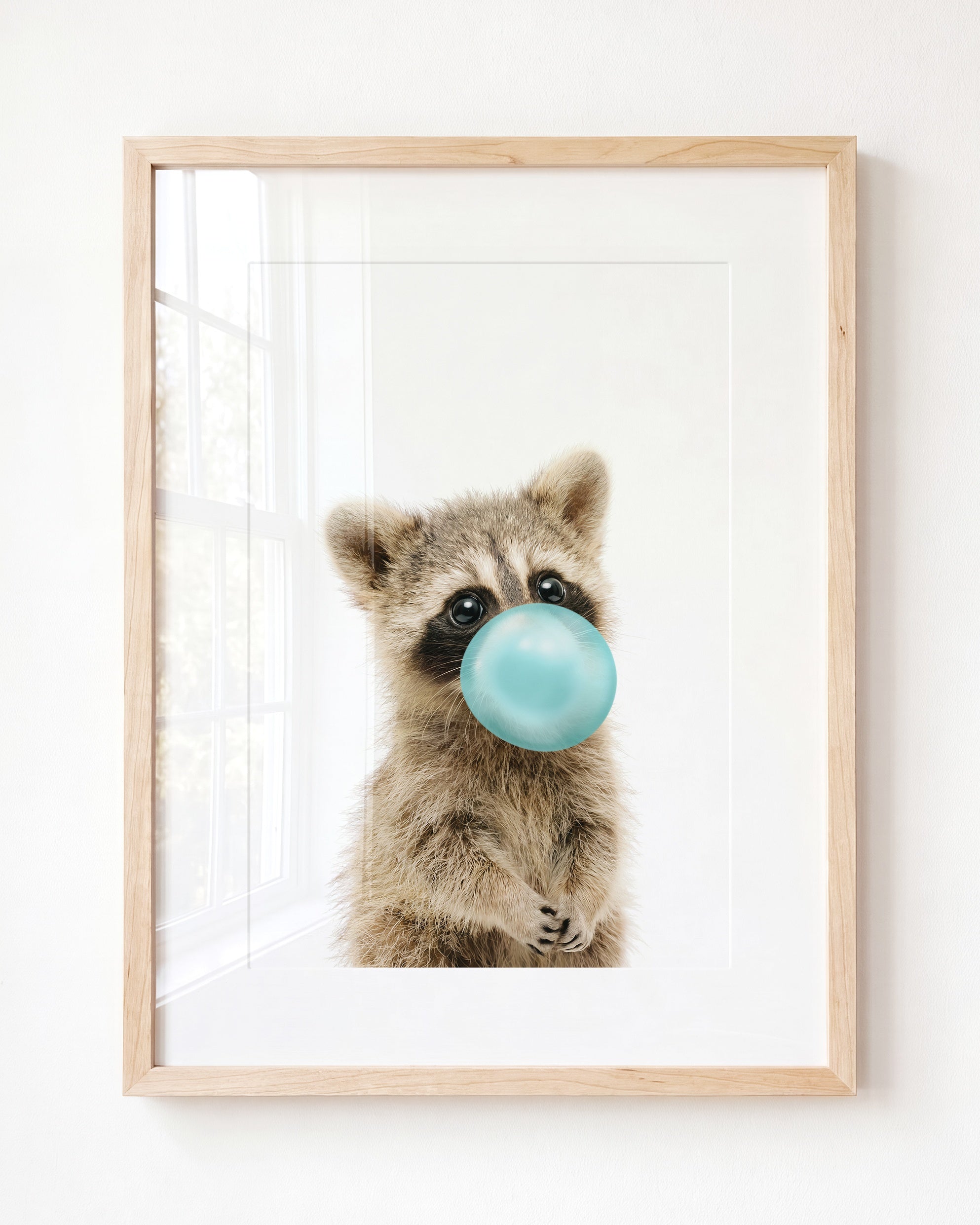 Baby Raccoon