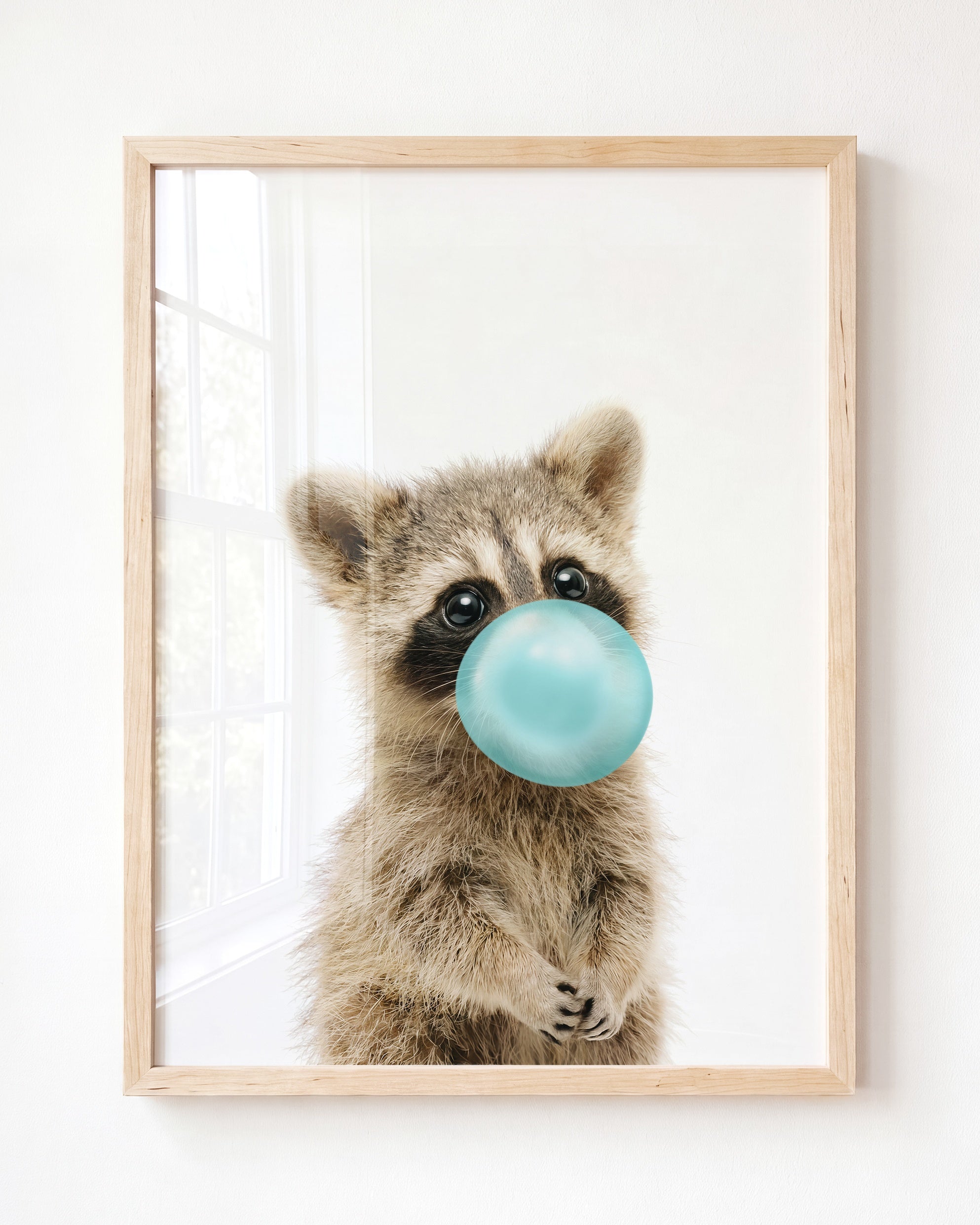 Baby Raccoon