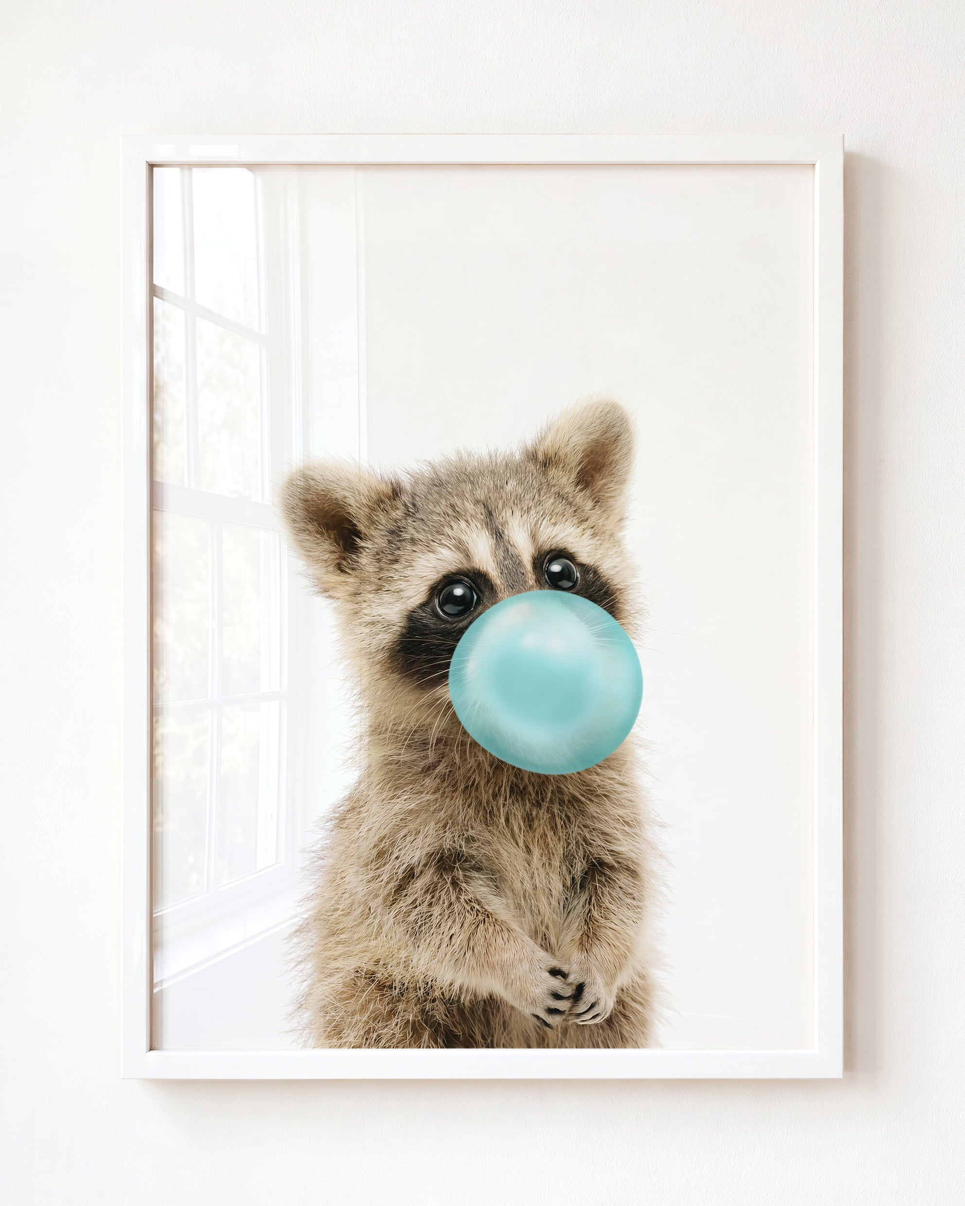 Baby Raccoon