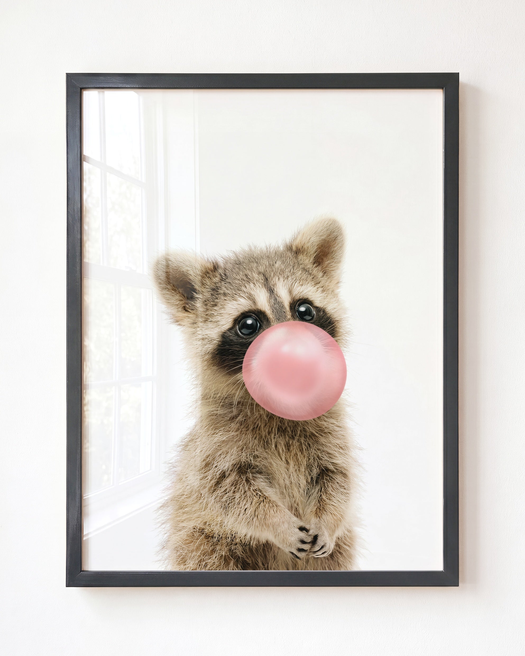 Baby Raccoon