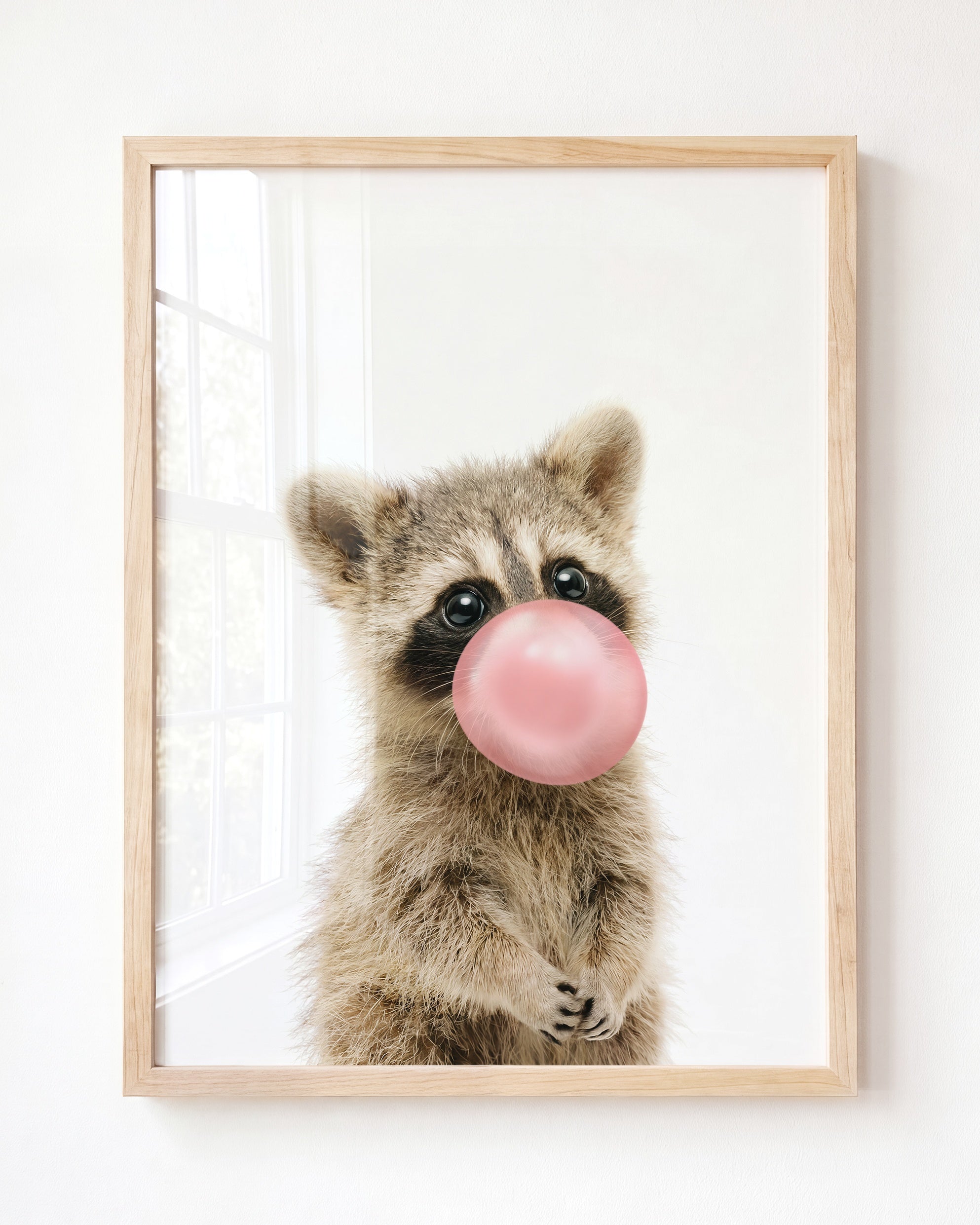 Baby Raccoon