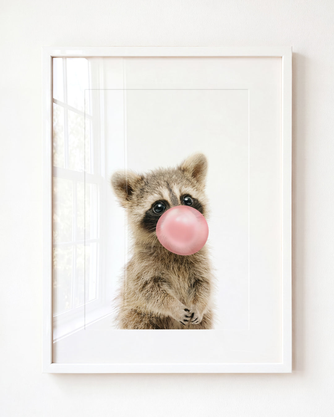 Baby Raccoon — Framed