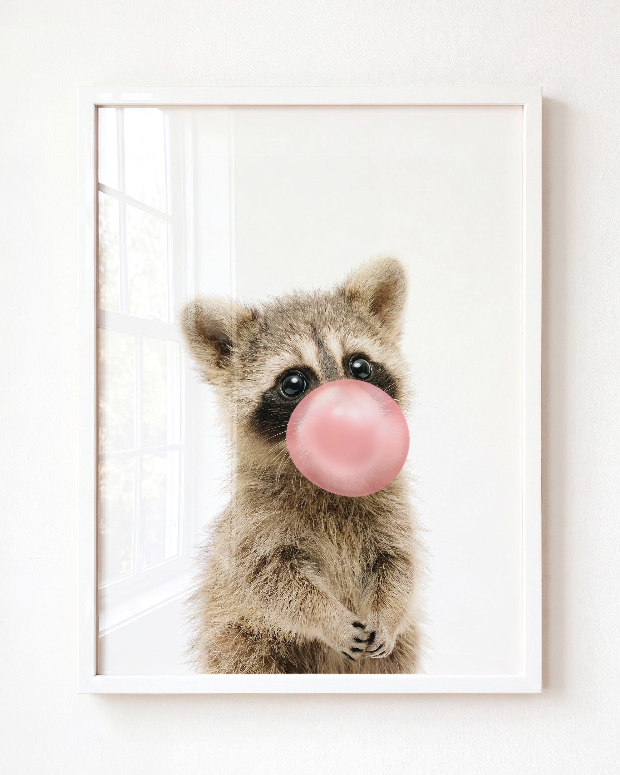 Baby Raccoon