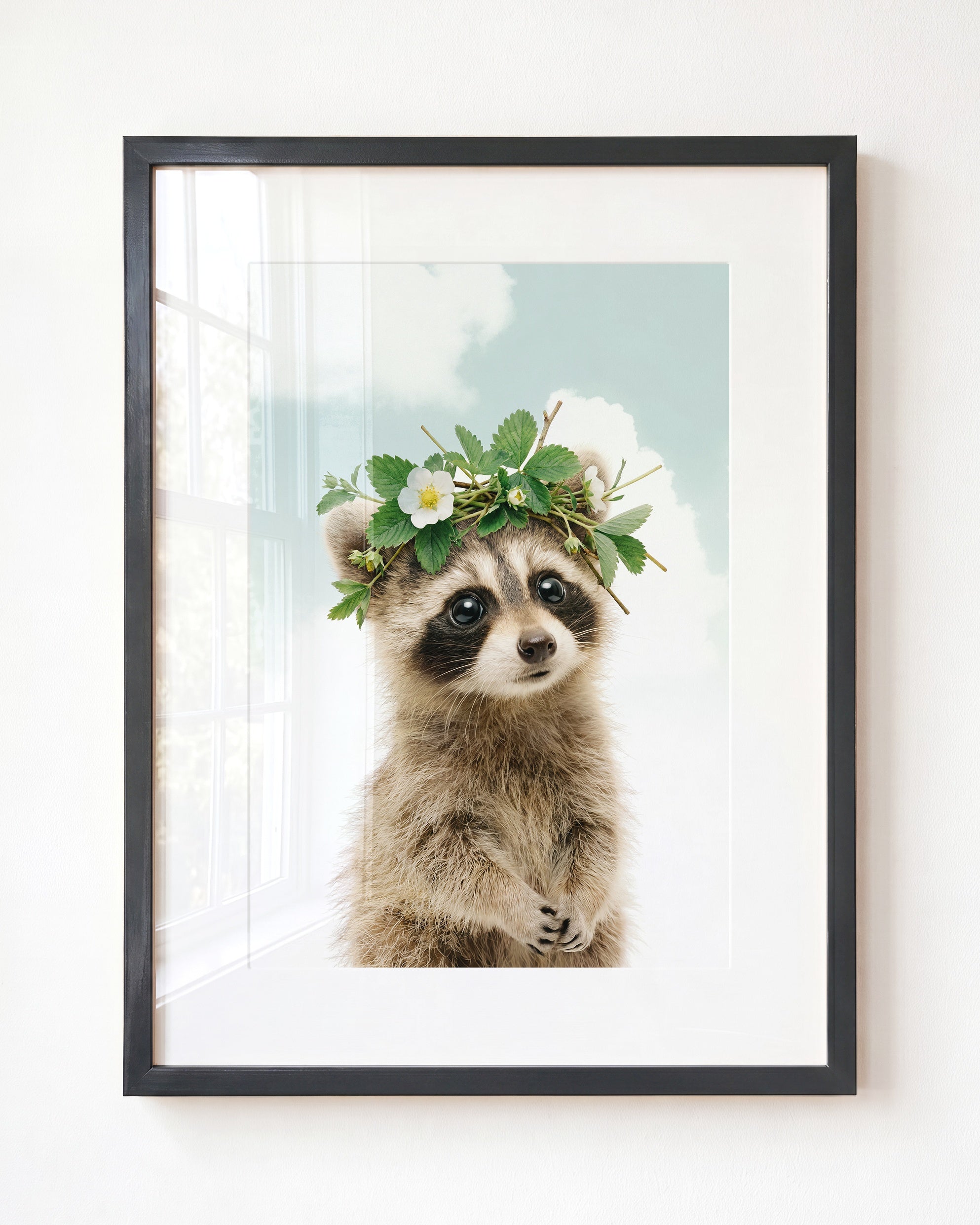 Baby Raccoon