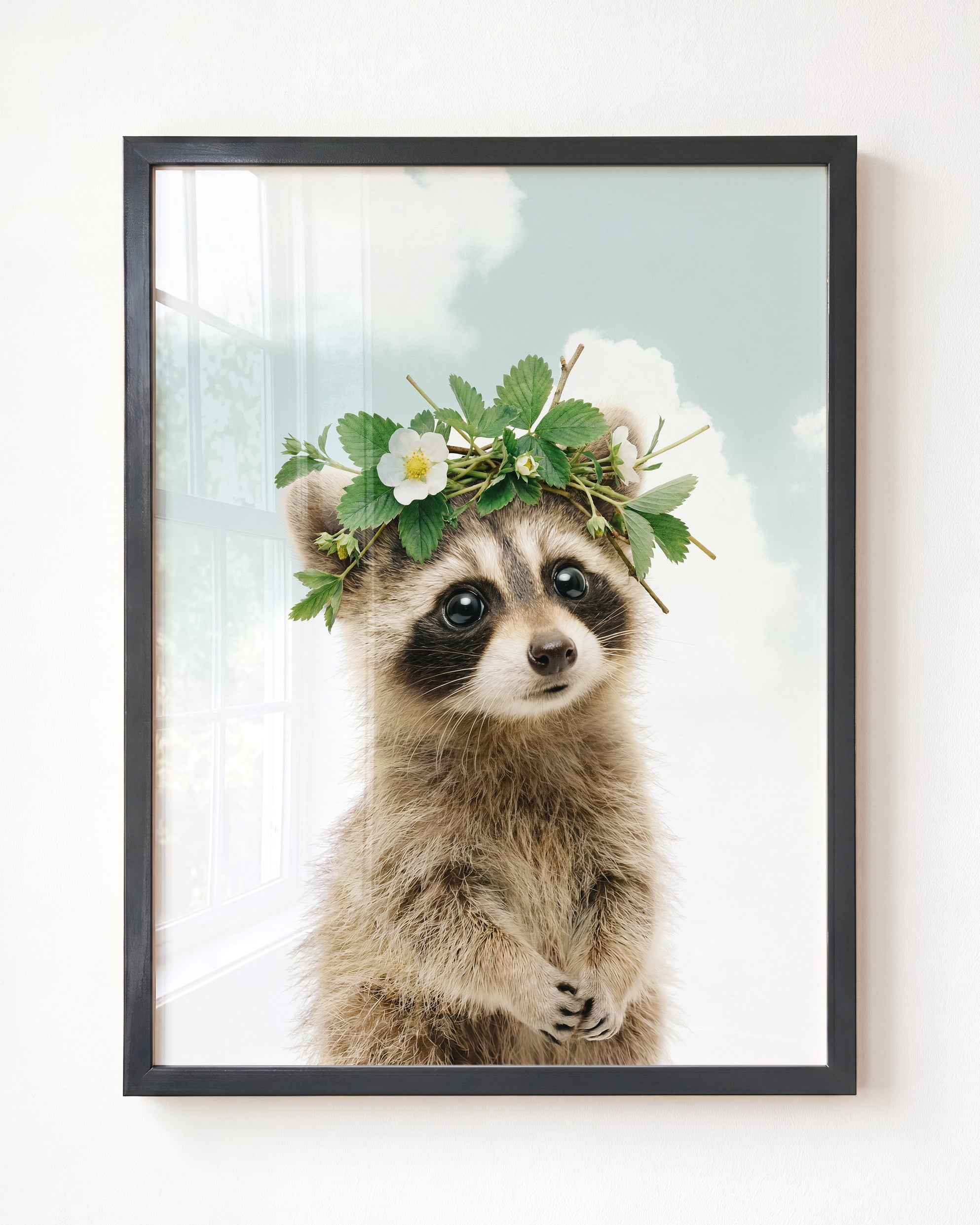 Baby Raccoon