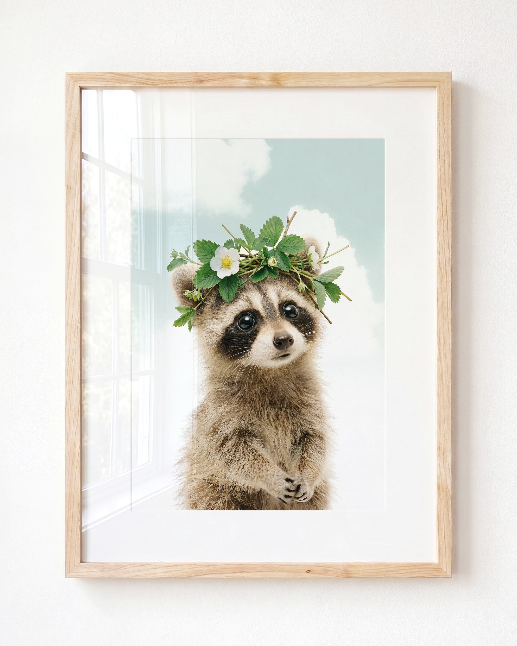 Baby Raccoon