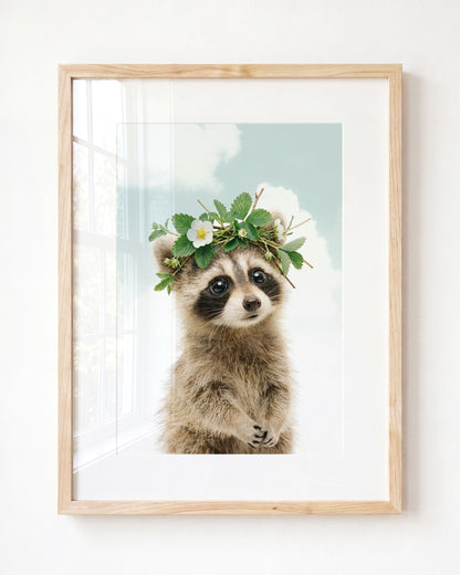 Baby Raccoon