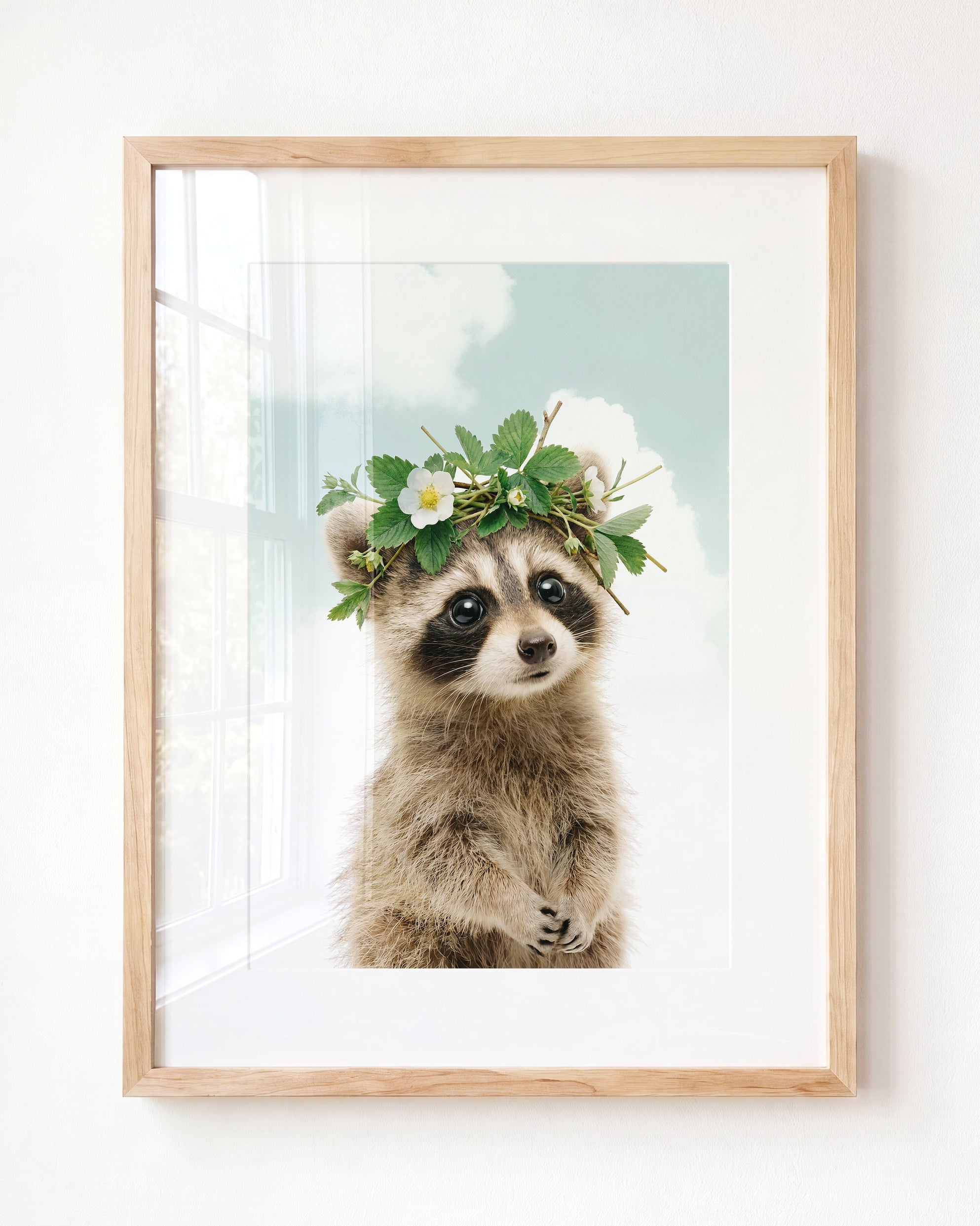 Baby Raccoon