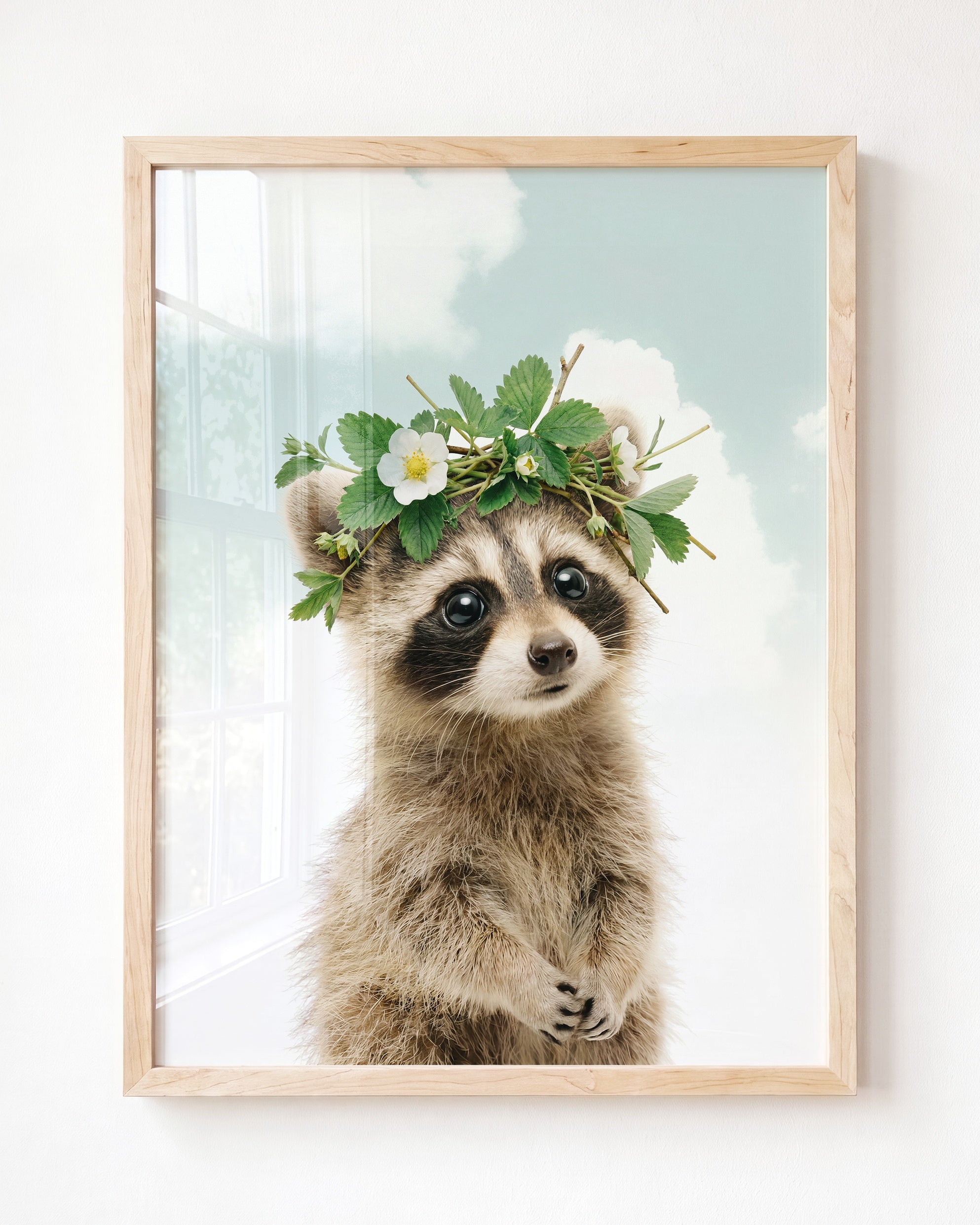 Baby Raccoon