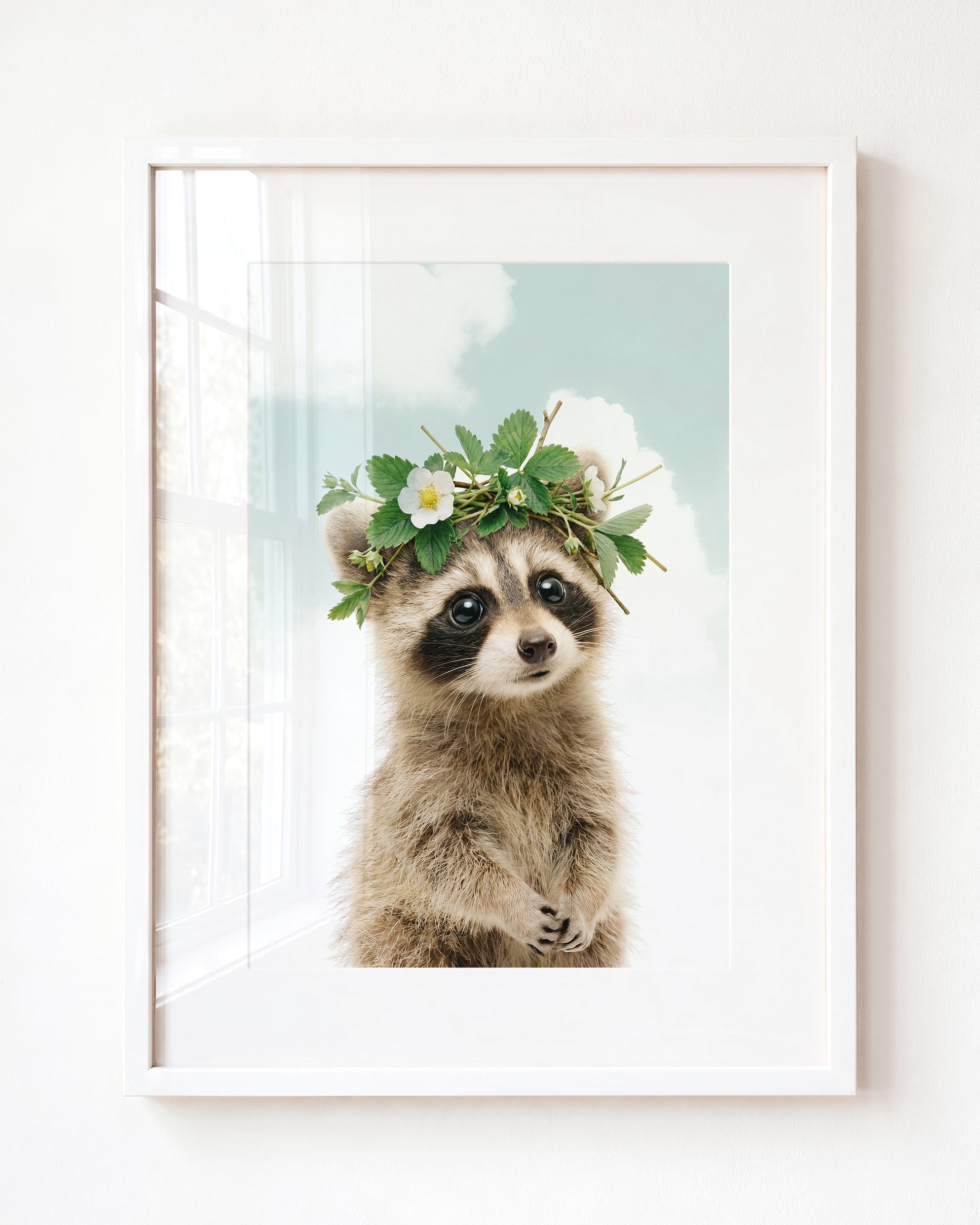 Baby Raccoon