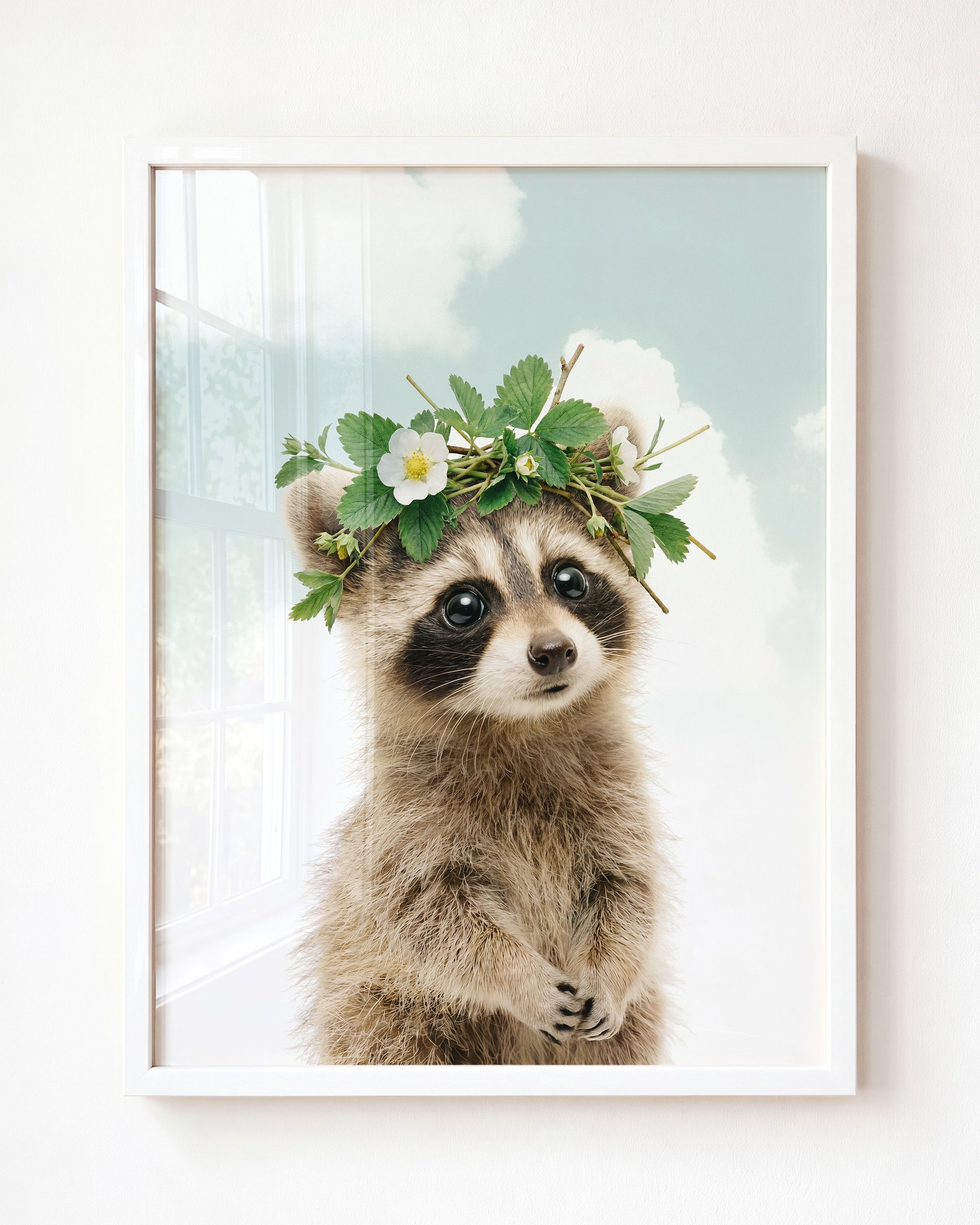 Baby Raccoon