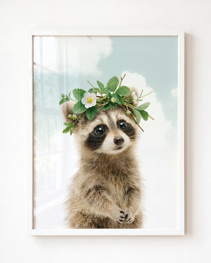 Baby Raccoon