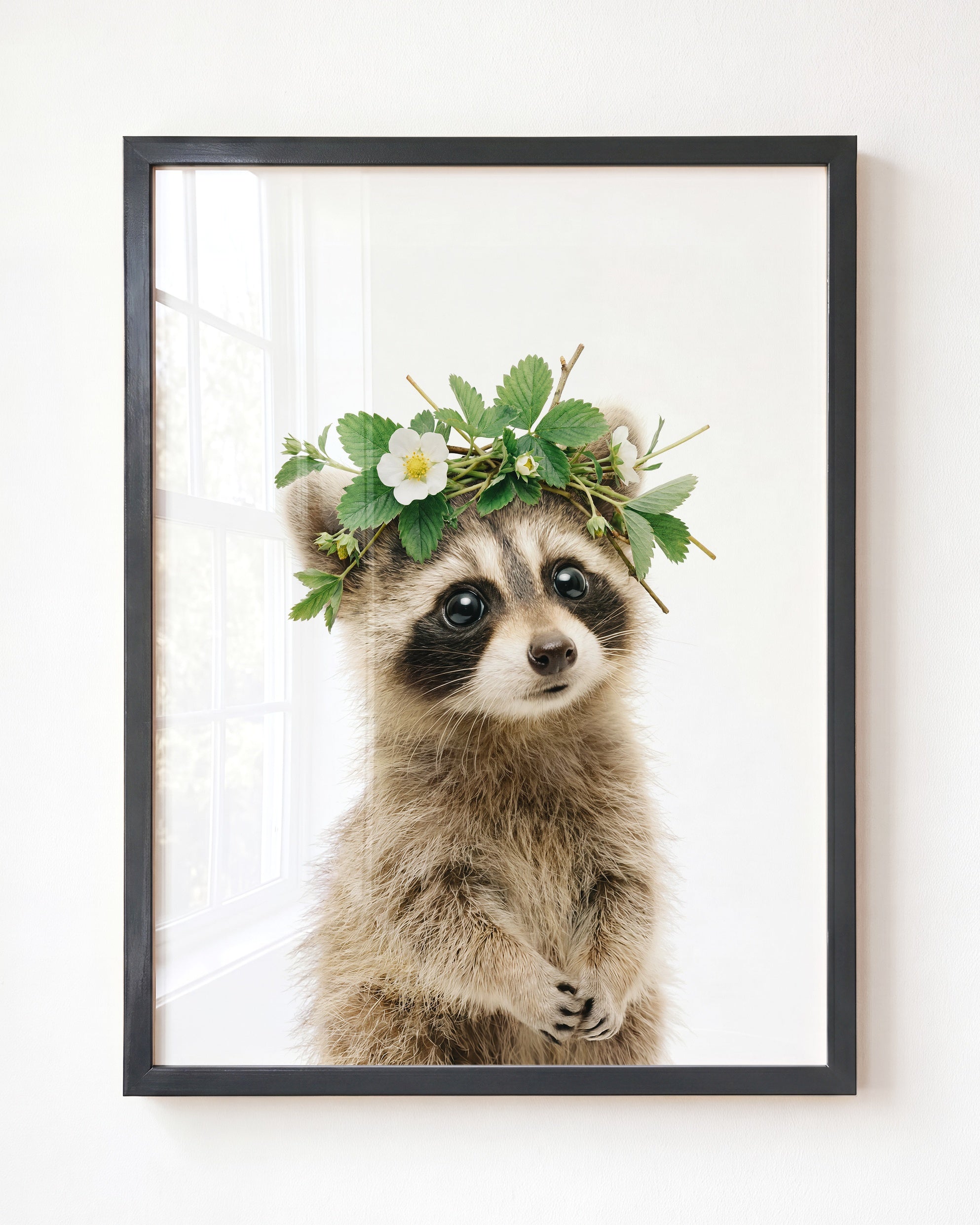 Baby Raccoon