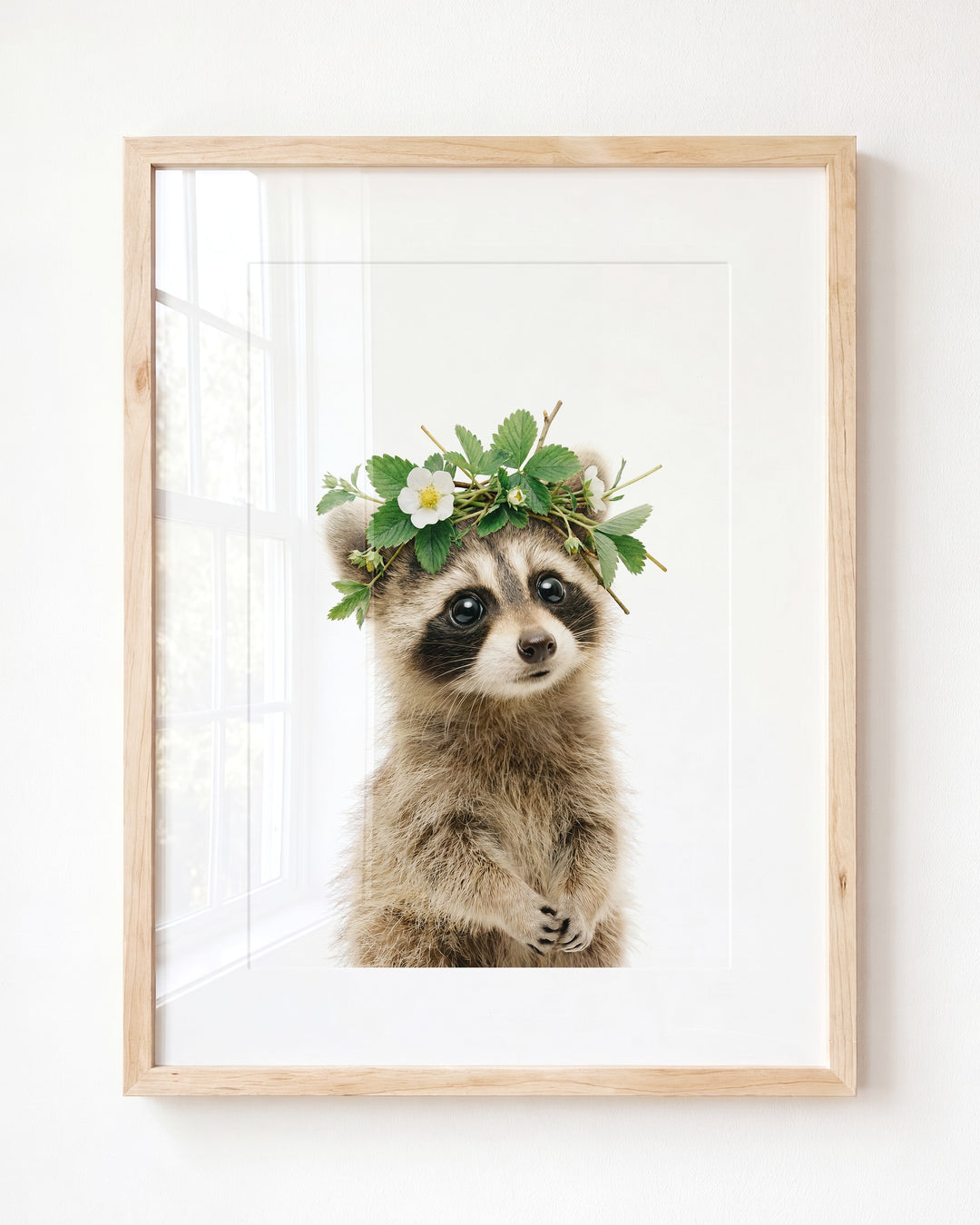 Baby Raccoon — Framed