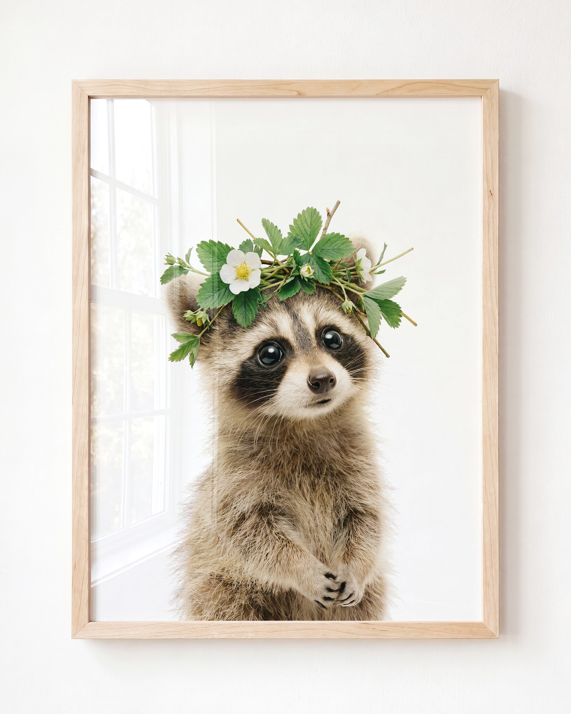 Baby Raccoon