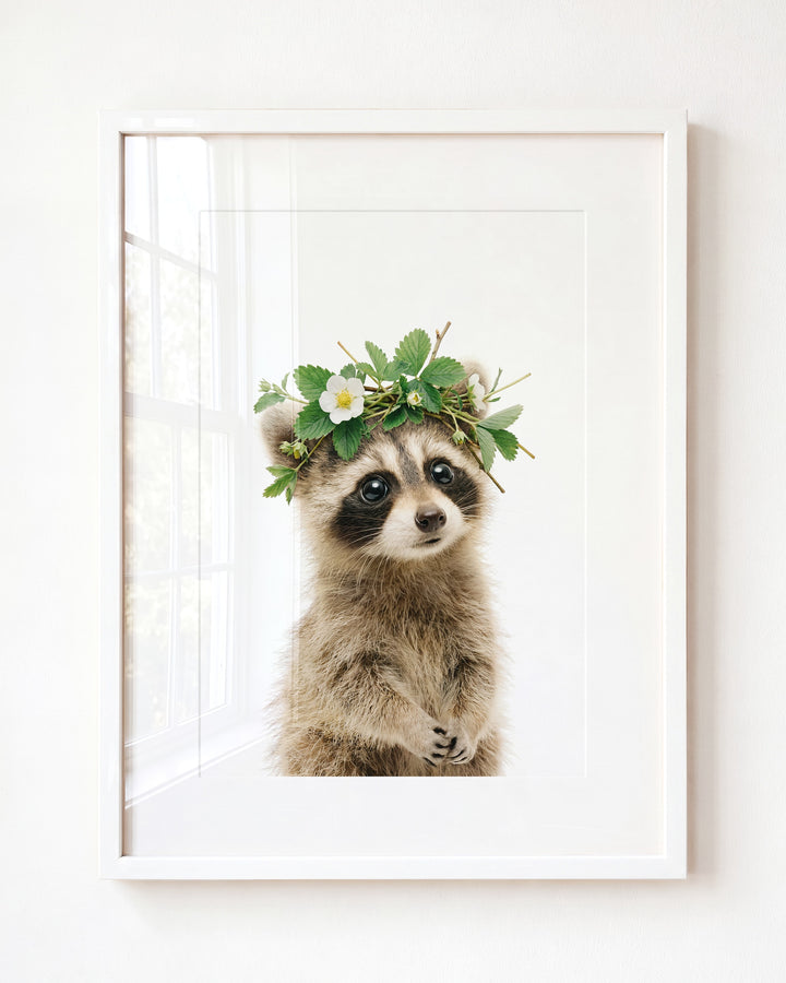 Baby Raccoon — Framed