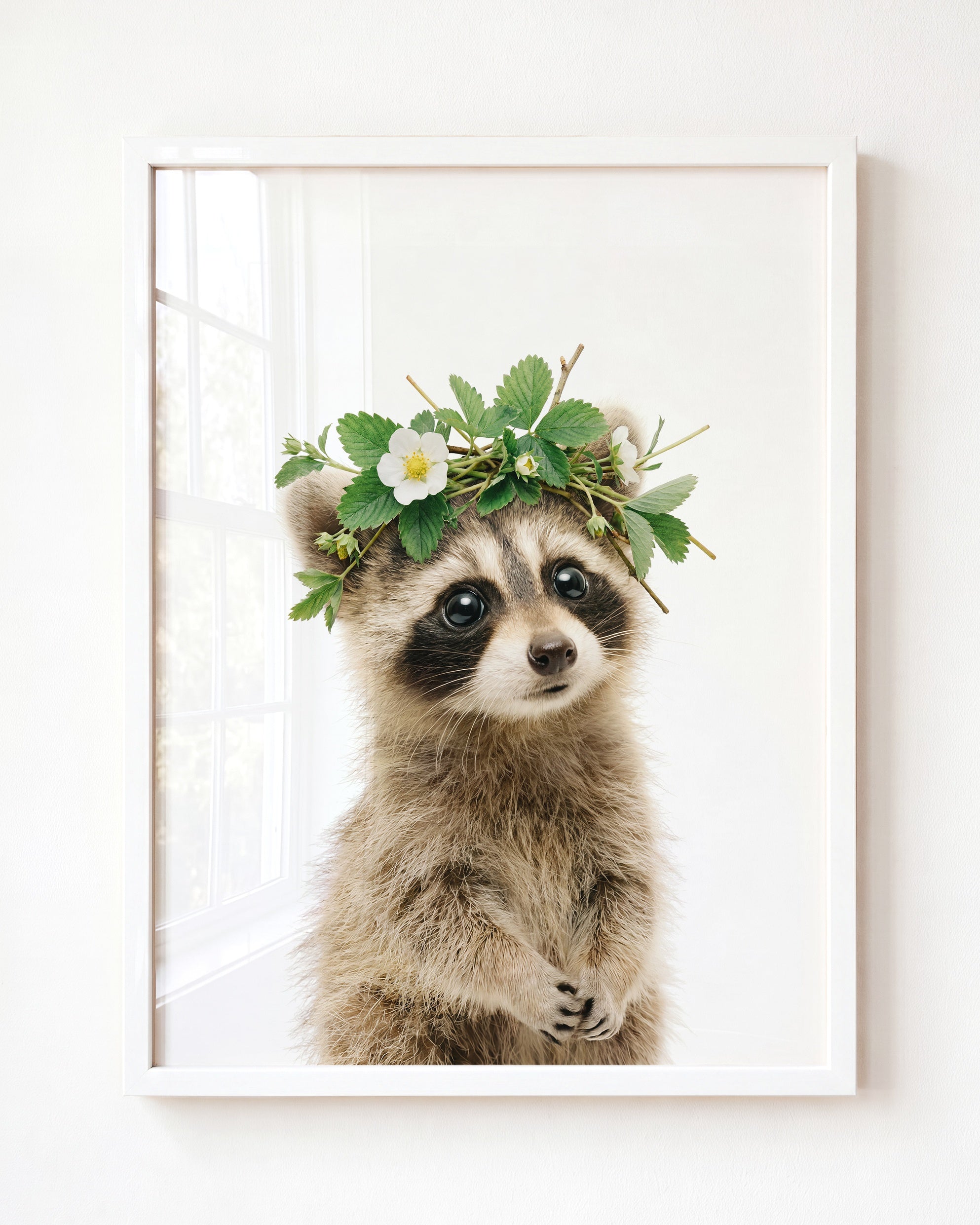 Baby Raccoon