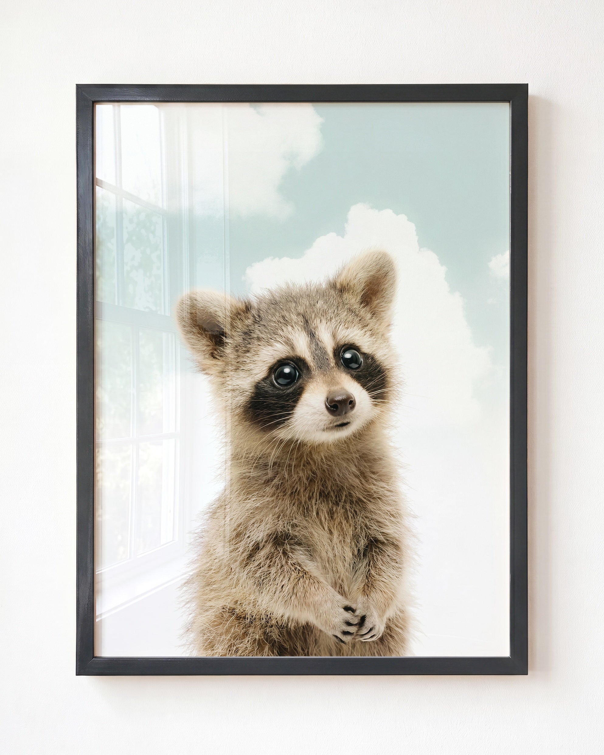 Baby Raccoon