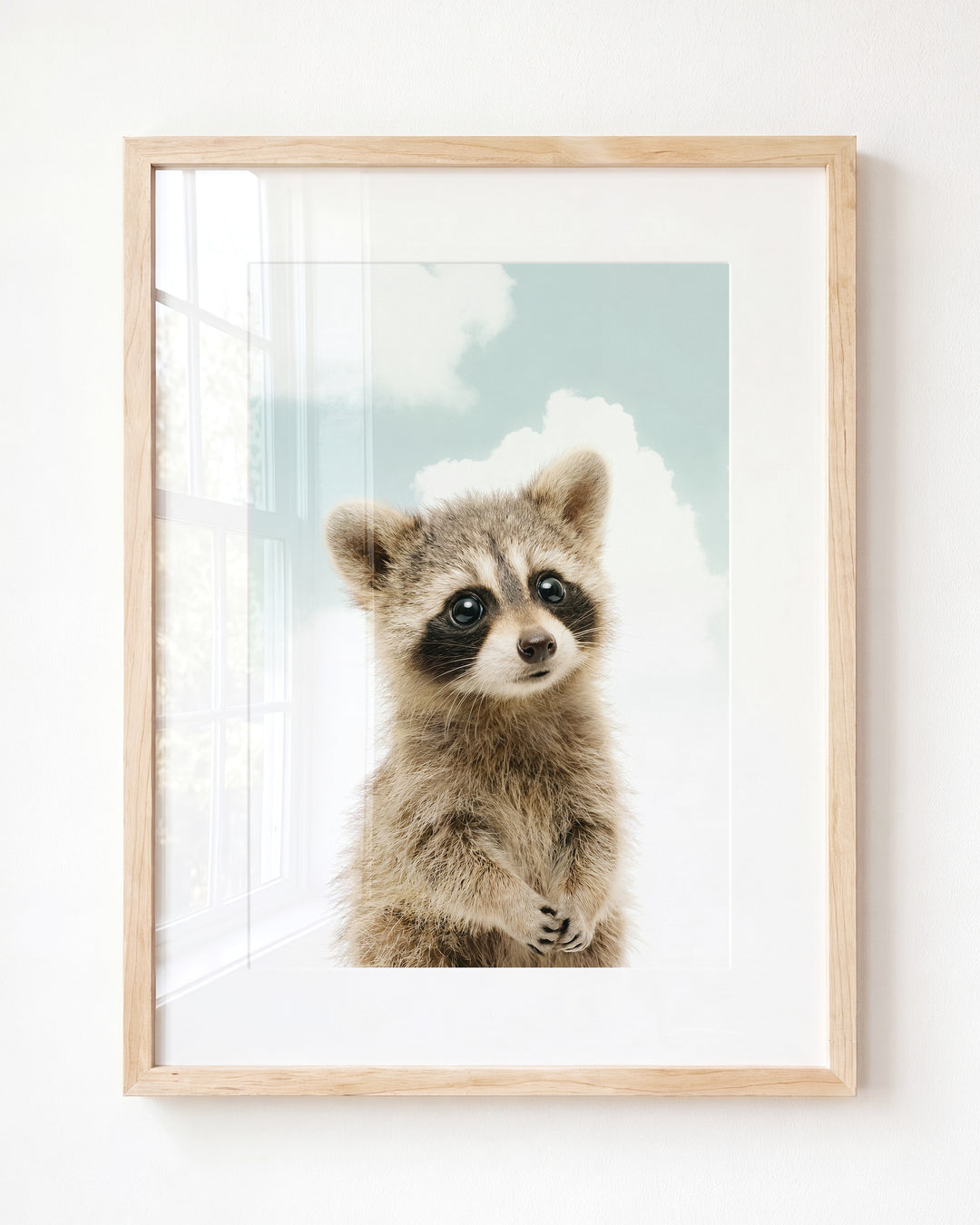 Baby Raccoon — Framed
