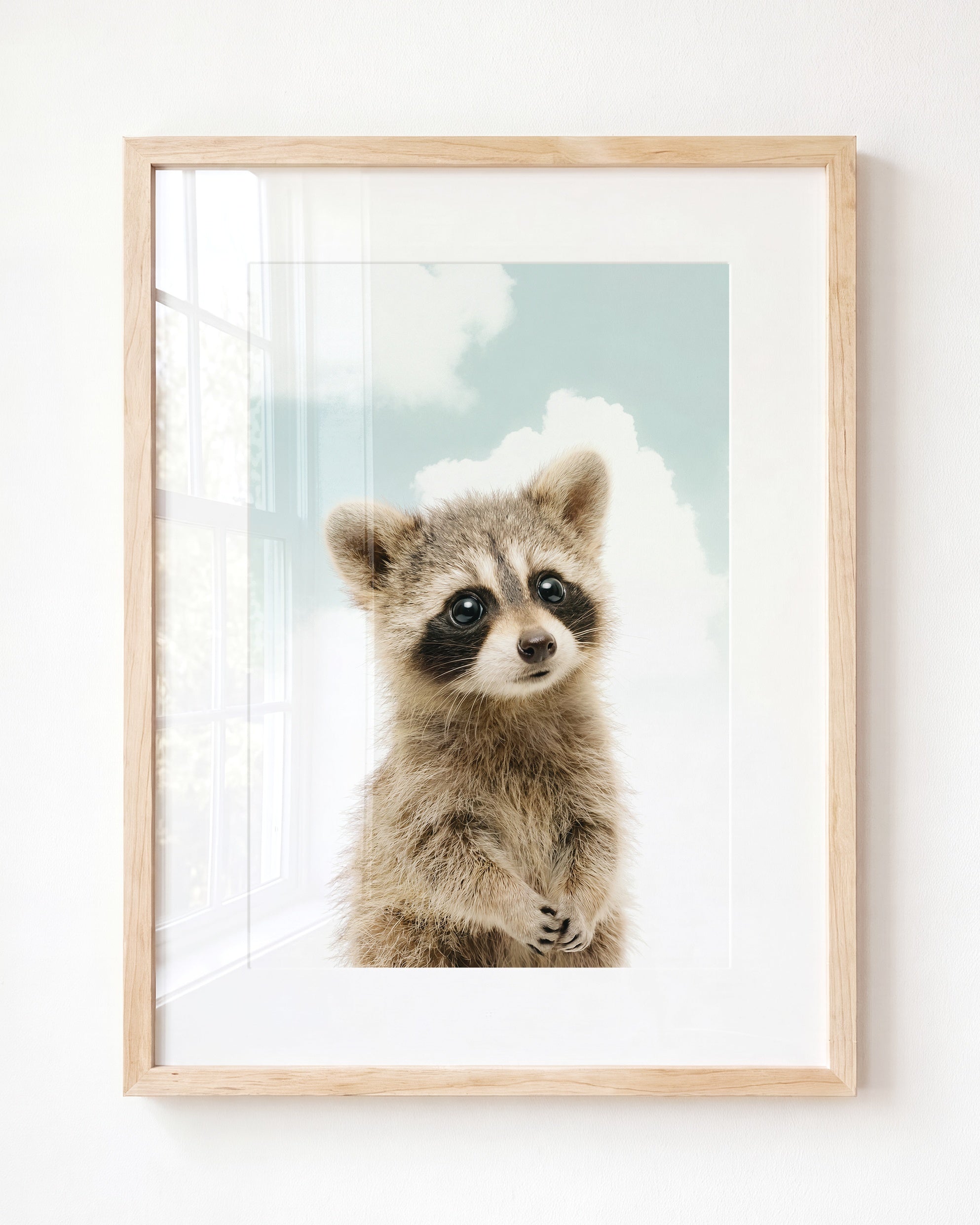 Baby Raccoon