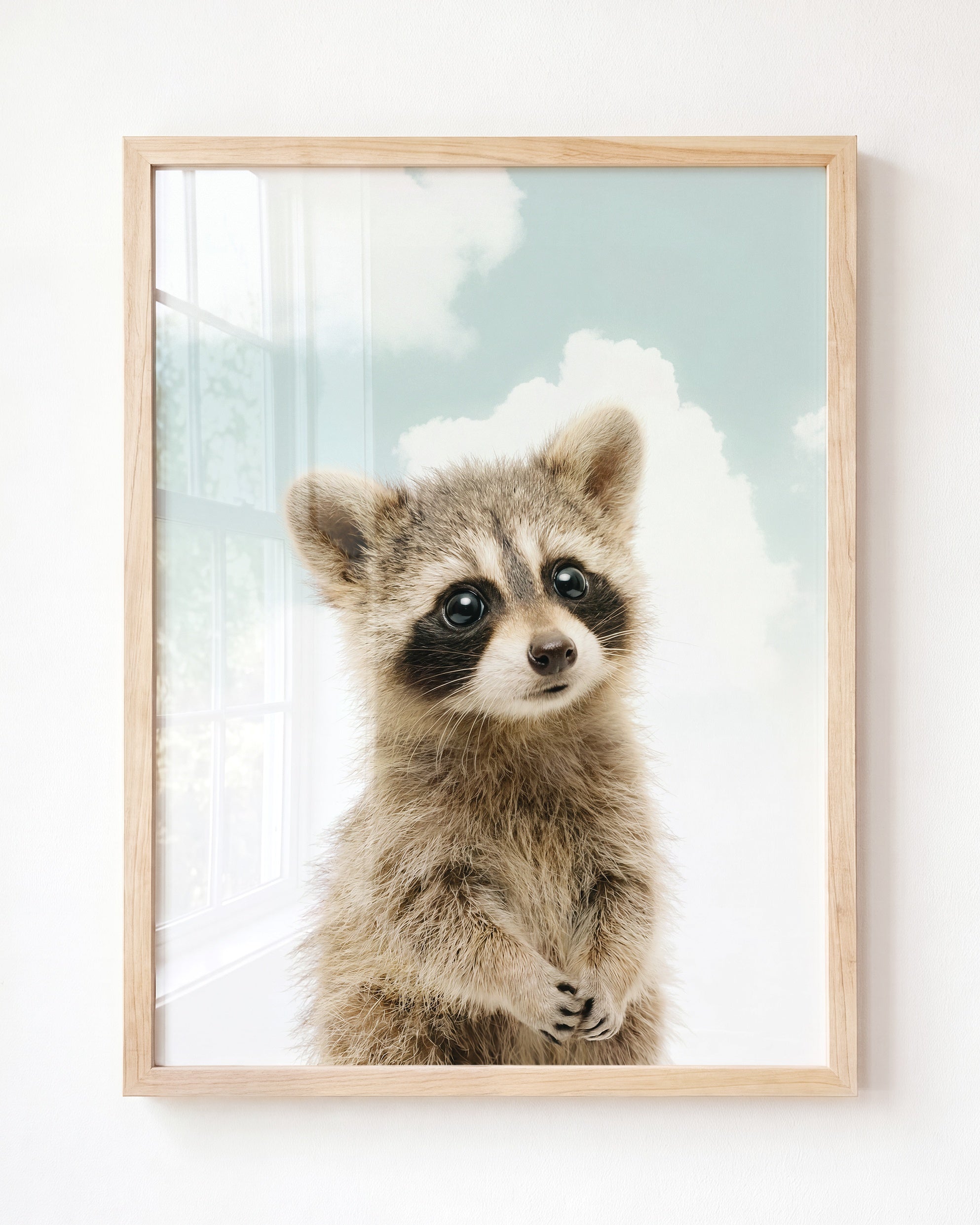 Baby Raccoon