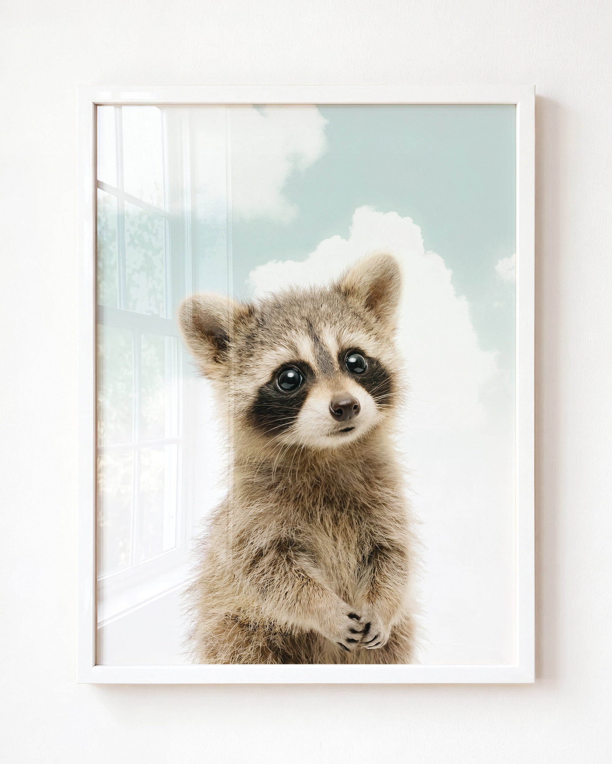 Baby Raccoon