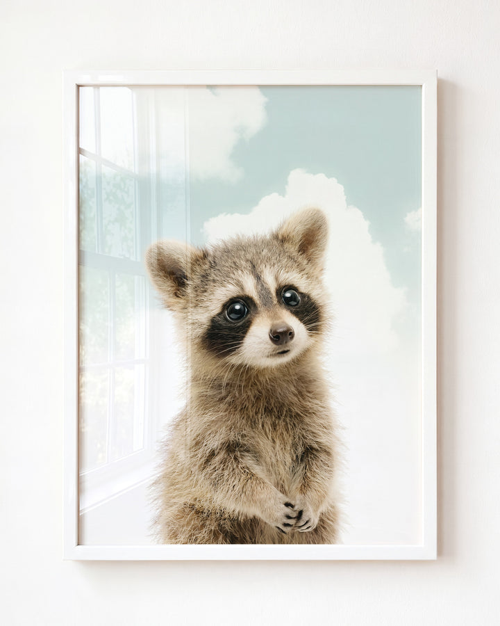 Baby Raccoon — Framed