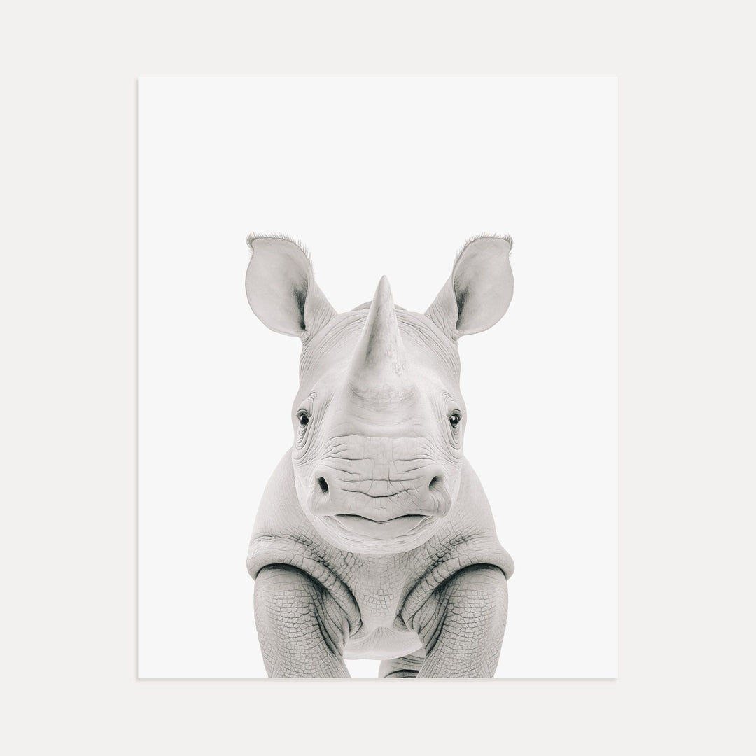 Baby Rhino