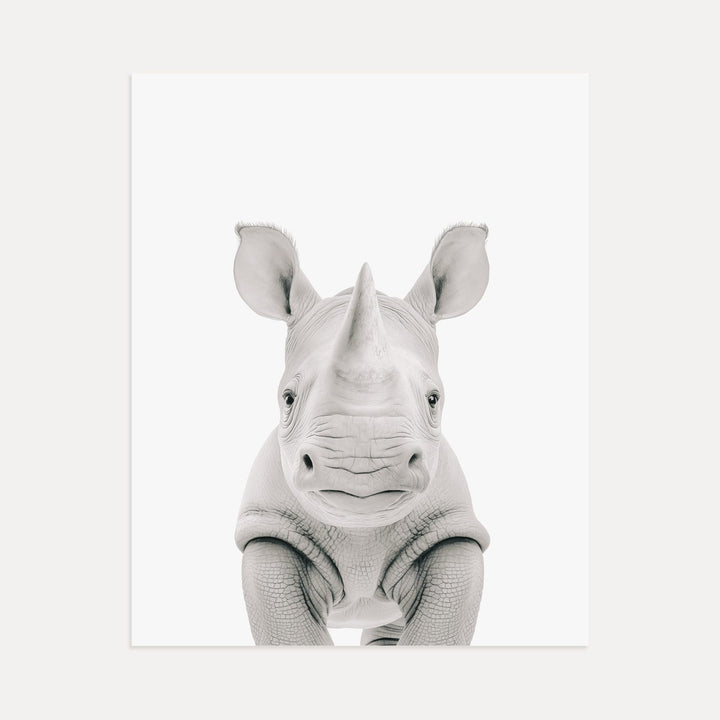 Baby Rhino