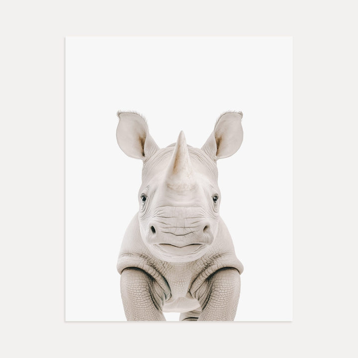 Baby Rhino