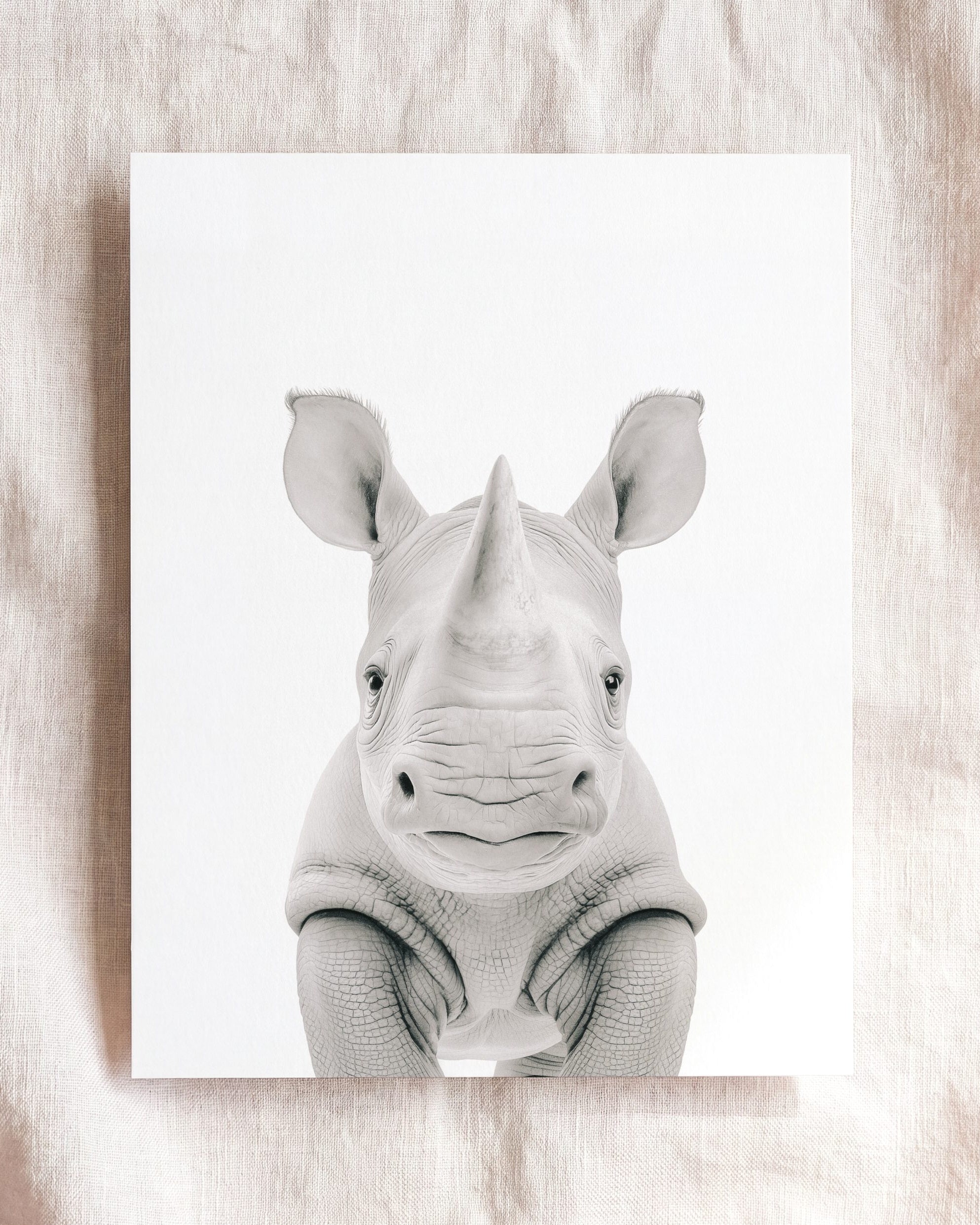 Baby Rhino