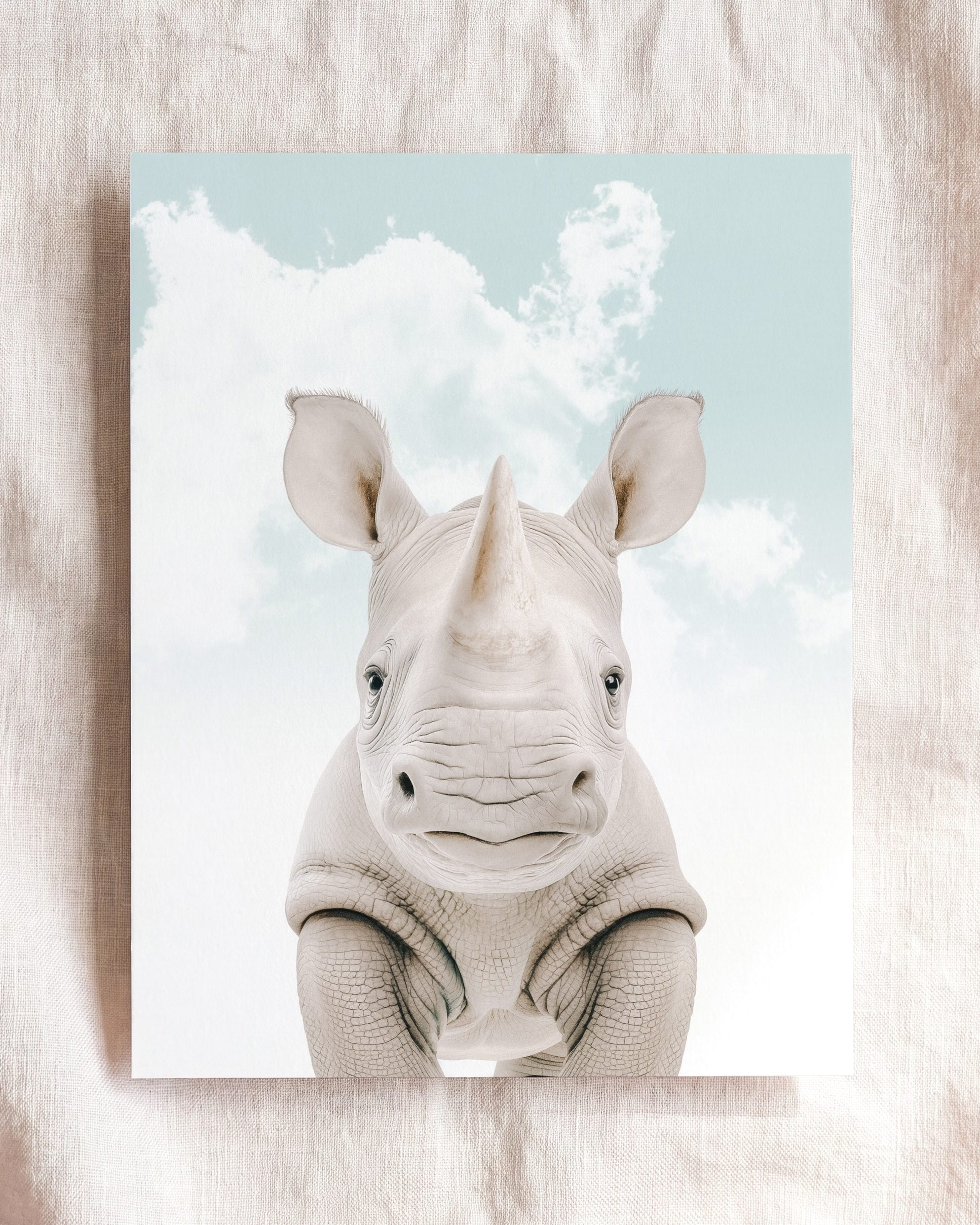 Baby Rhino