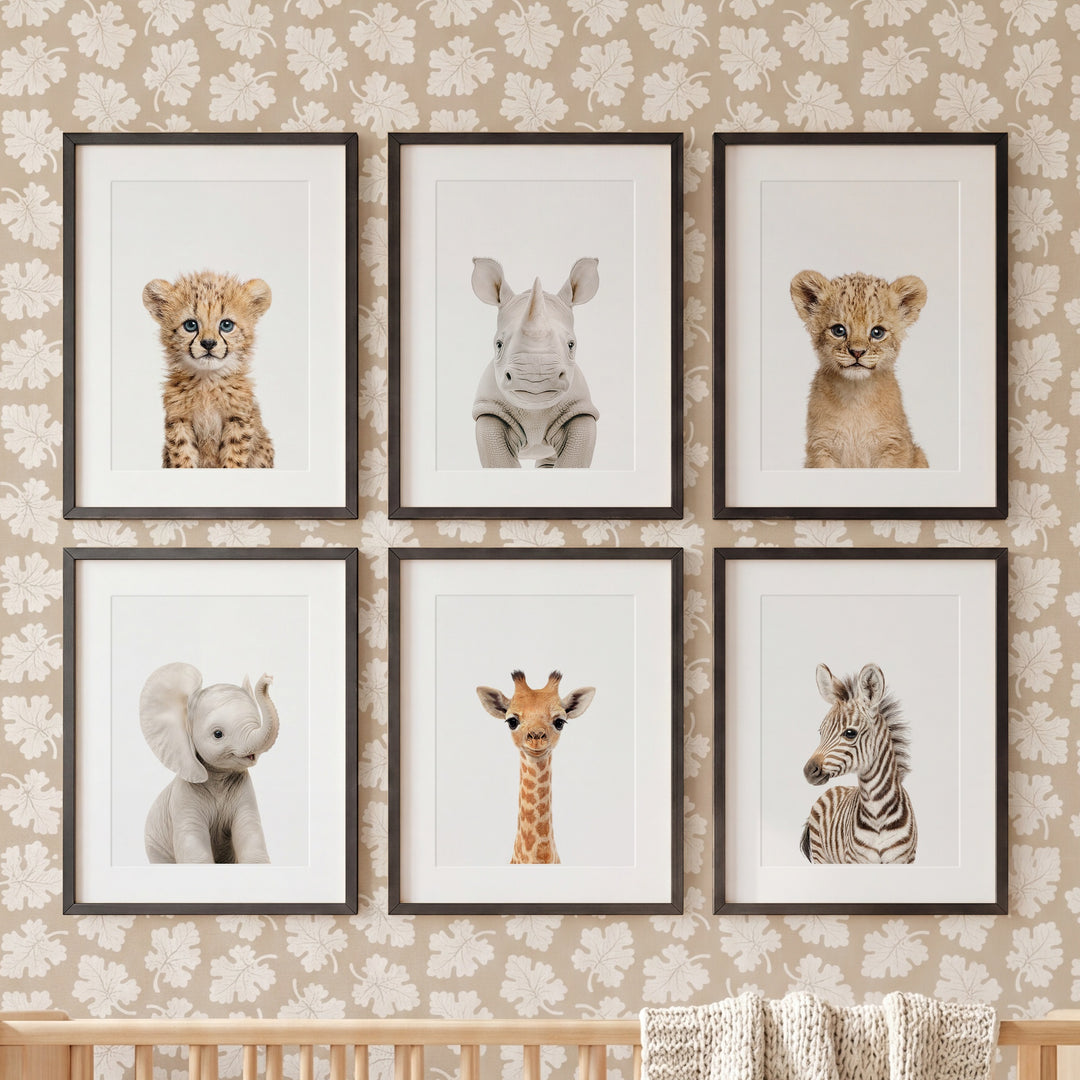 Baby Safari Animals Nursery Decor - African Animals Set of 6 Prints