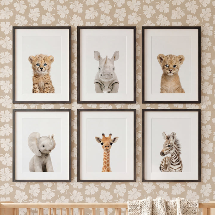 Baby Safari Animals Nursery Decor - African Animals Set of 6 Prints