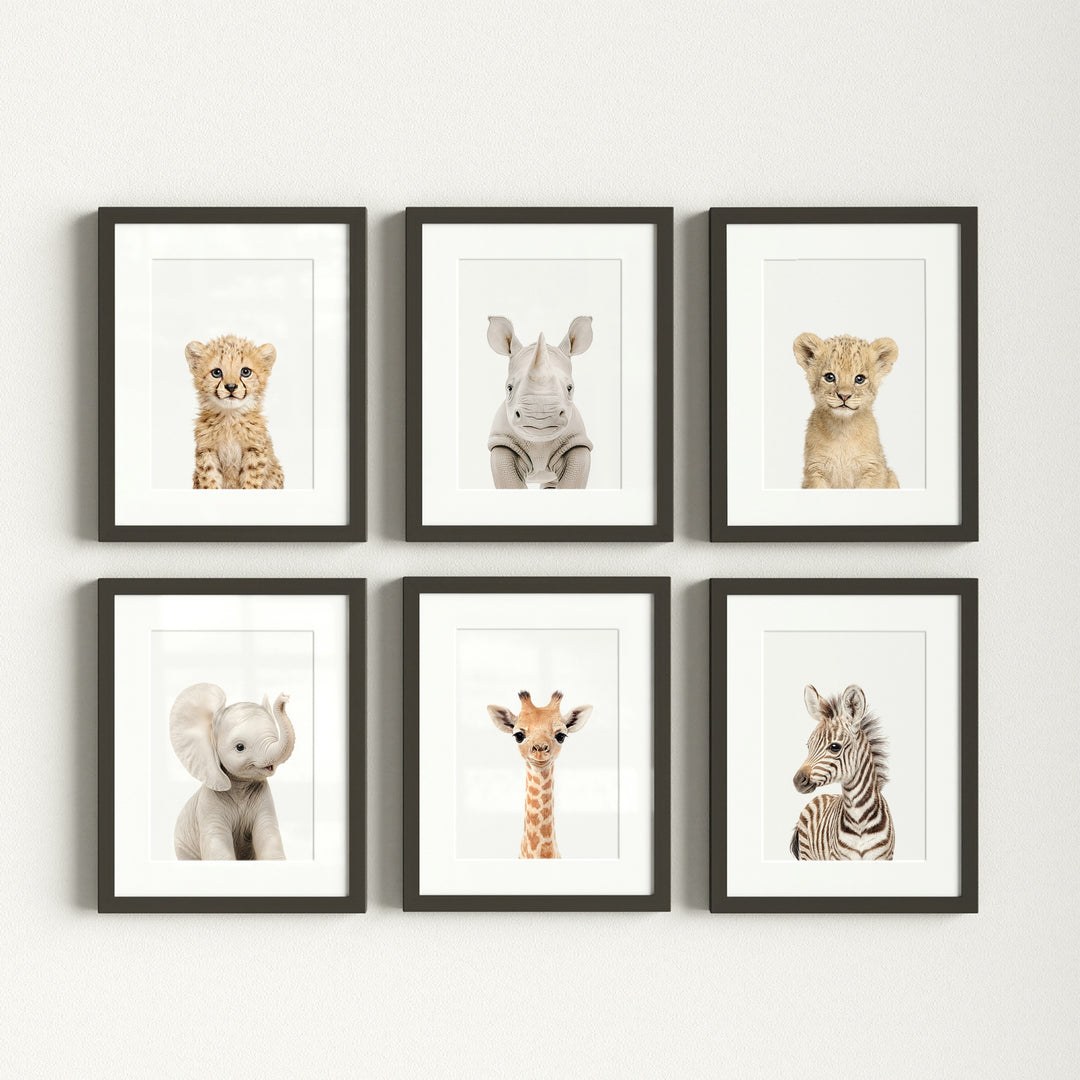 Baby Safari Animals Nursery Decor - African Animals Set of 6 Prints