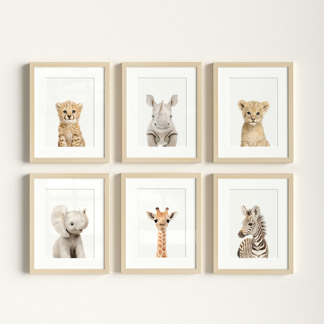 Baby Safari Animals Nursery Decor - African Animals Set of 6 Prints