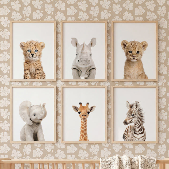 Baby Safari Animals Nursery Decor - African Animals Set of 6 Prints
