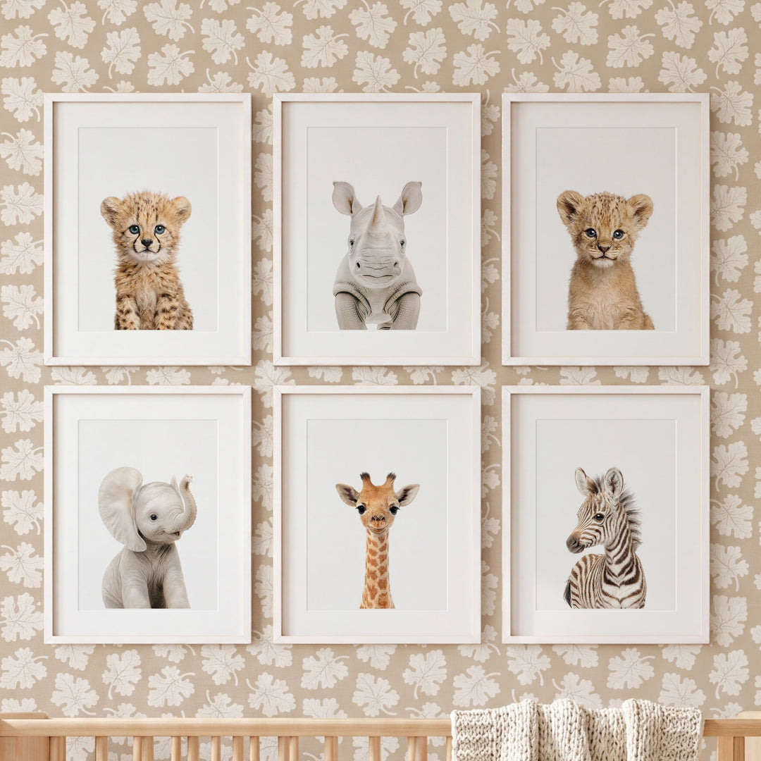 Baby Safari Animals Nursery Decor - African Animals Set of 6 Prints