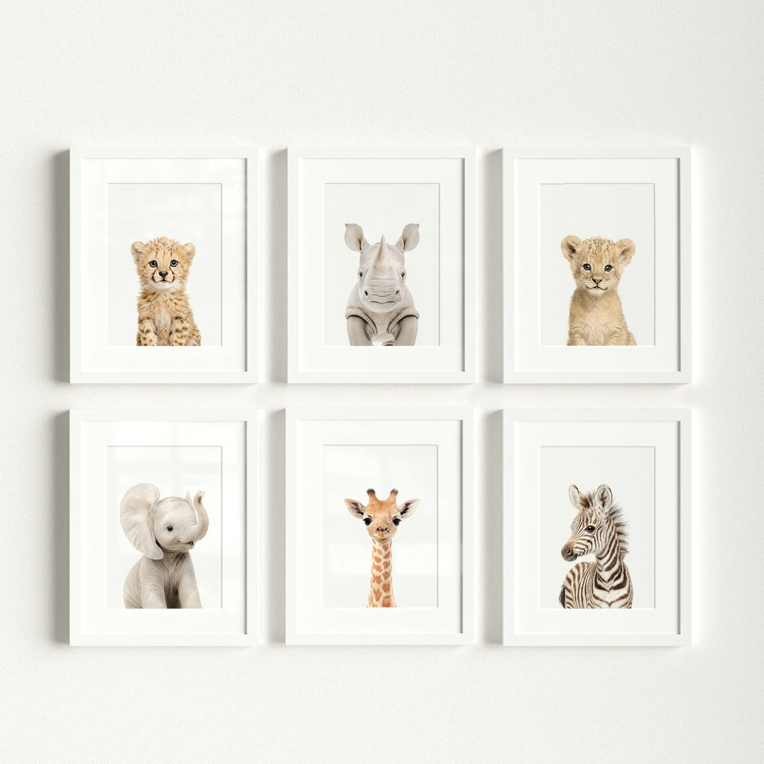 Baby Safari Animals Nursery Decor - African Animals Set of 6 Prints