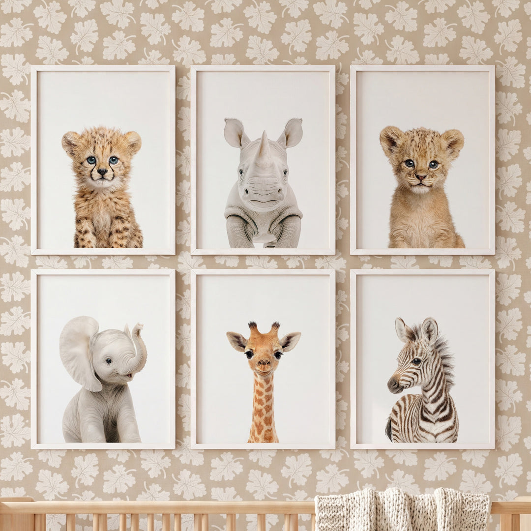 Baby Safari Animals Nursery Decor - African Animals Set of 6 Prints