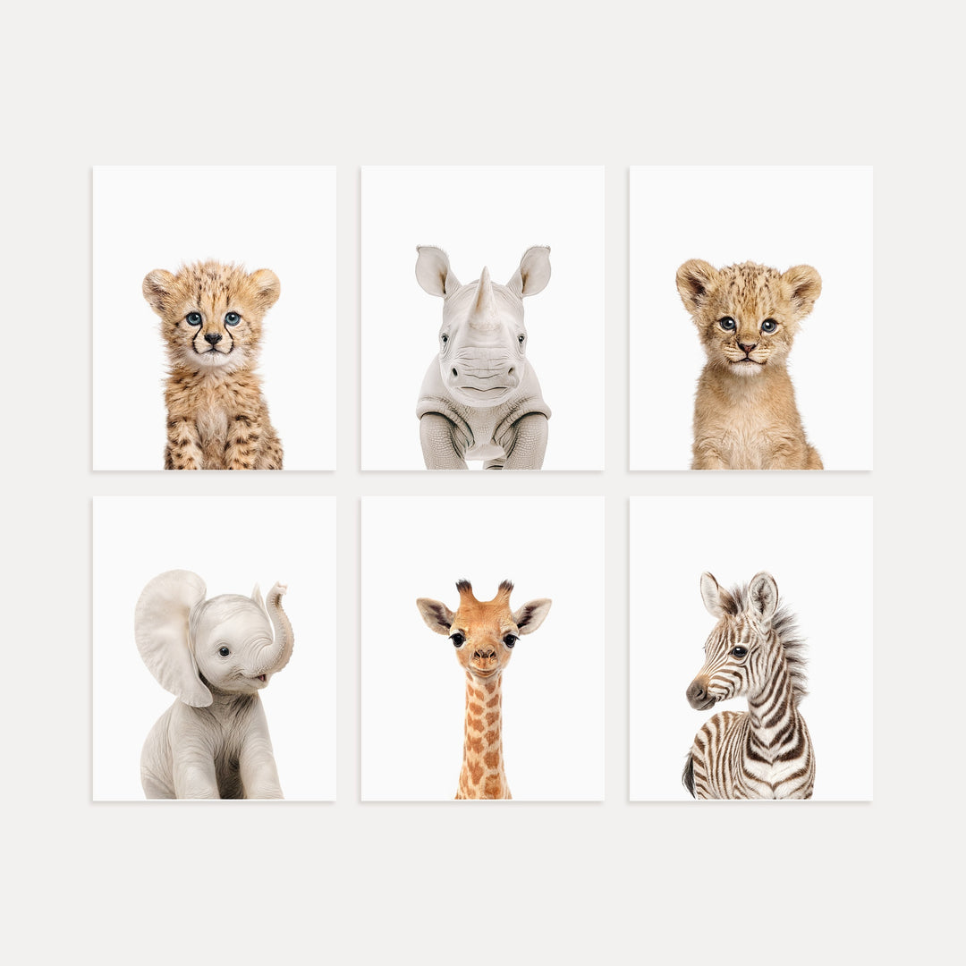 Baby Safari Animals Nursery Decor - African Animals Set of 6 Prints