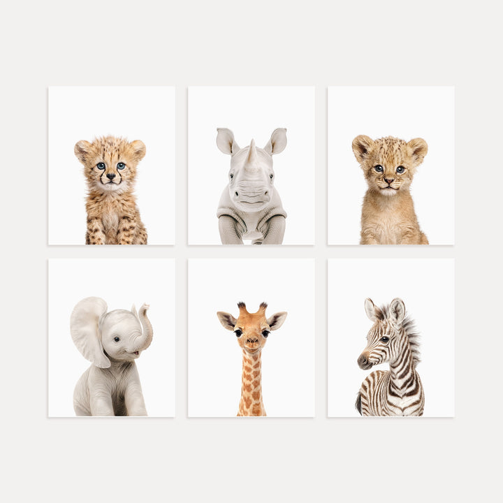 Baby Safari Animals Nursery Decor - African Animals Set of 6 Prints