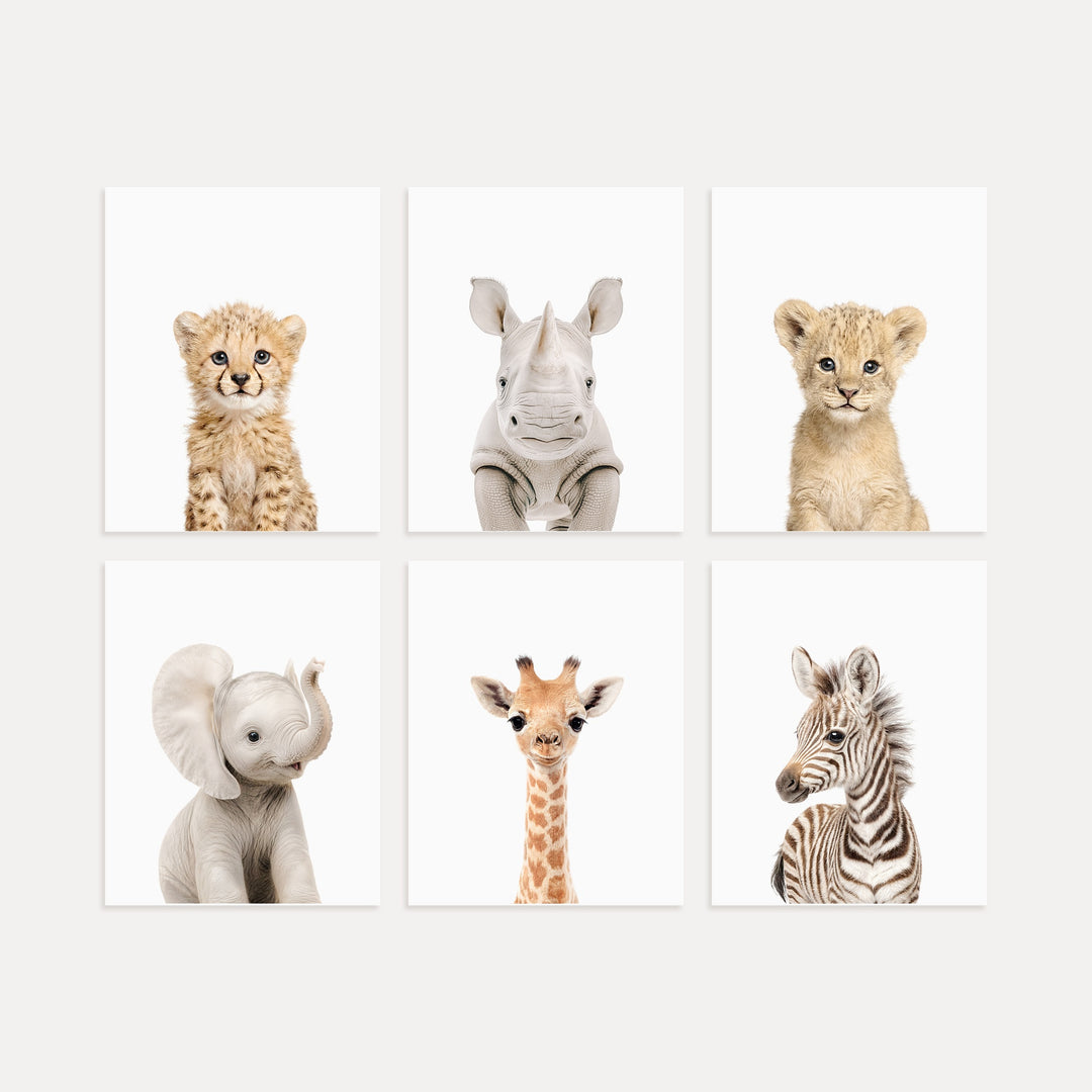 Baby Safari Animals Nursery Decor - African Animals Set of 6 Prints
