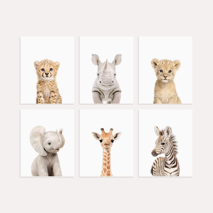 Baby Safari Animals Nursery Decor - African Animals Set of 6 Prints