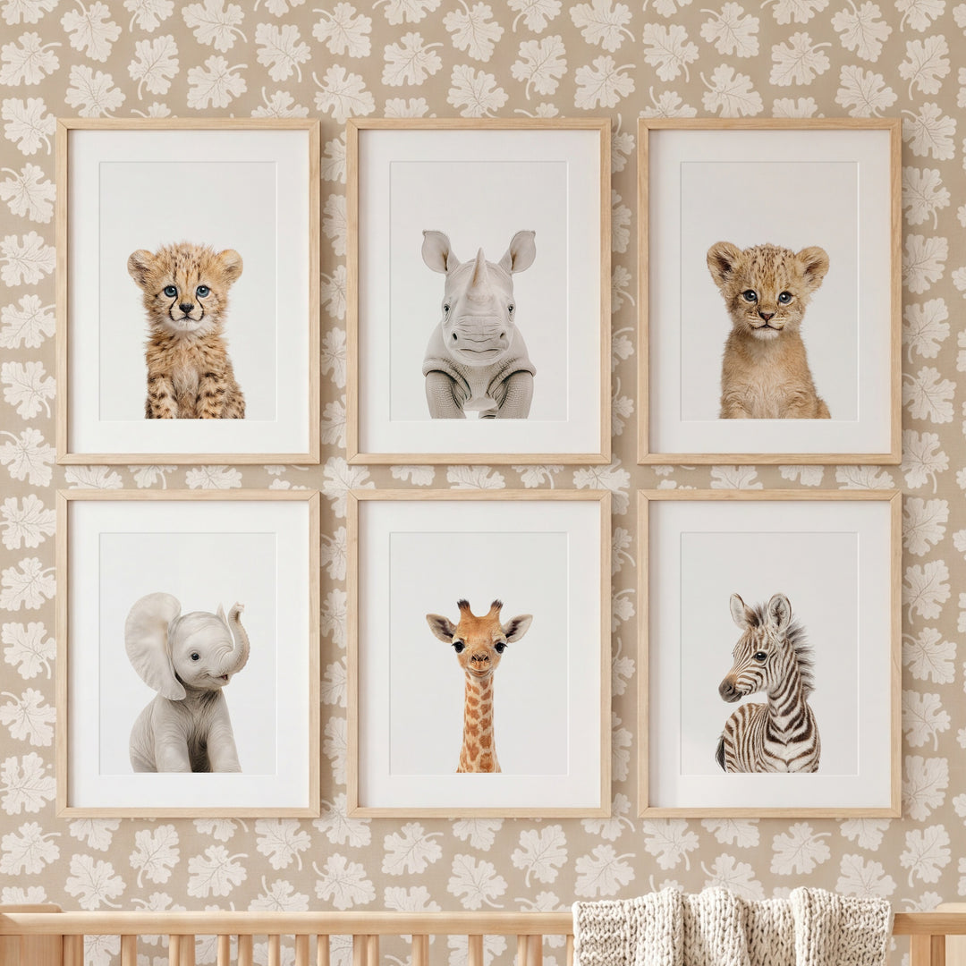 Baby Safari Animals Nursery Decor - African Animals Set of 6 Prints